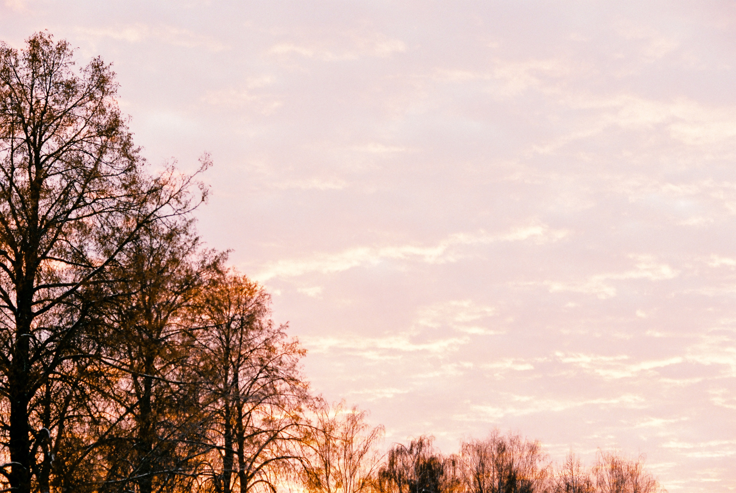 Fuji Superia 400. Фотограф Игорь Гуменников Удмуртия Шаркан