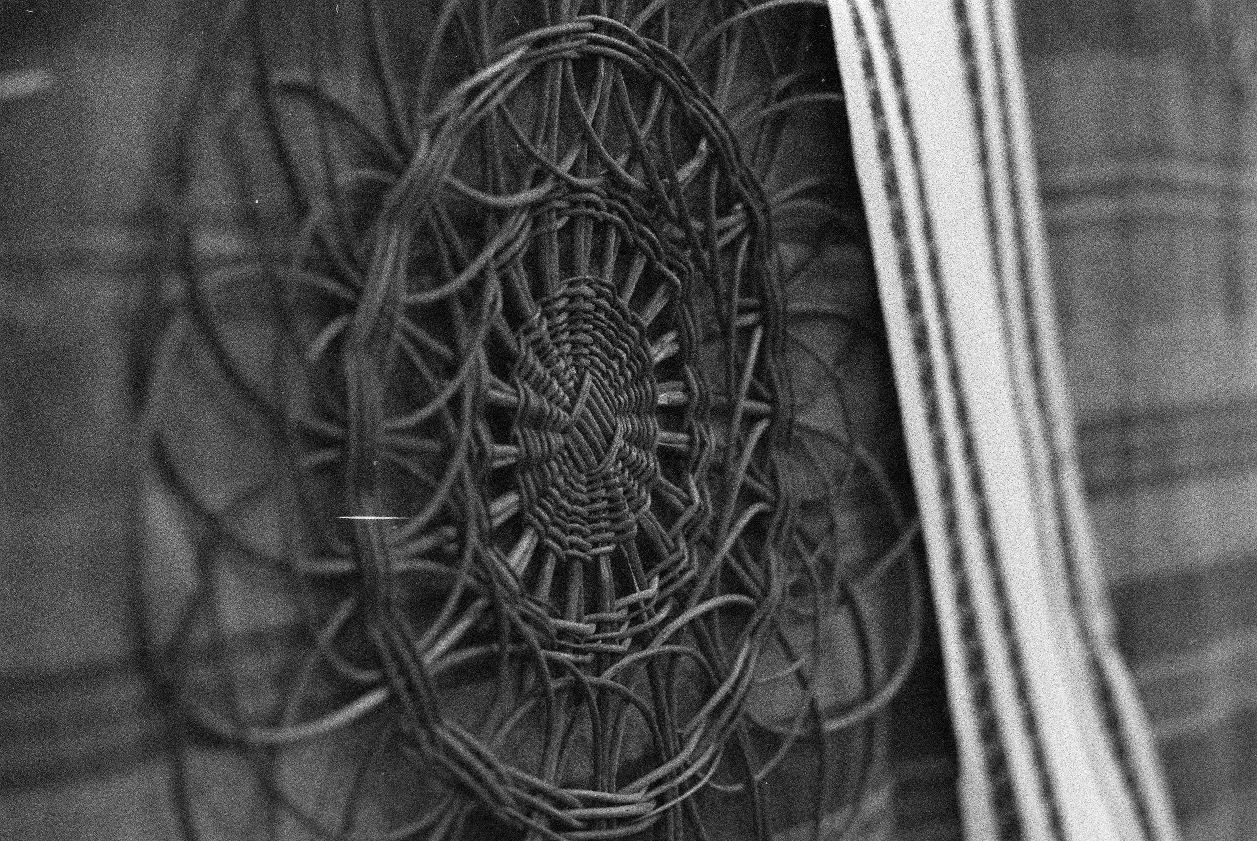 Ilford 3200. Фотограф Игорь Гуменников Удмуртия Шаркан