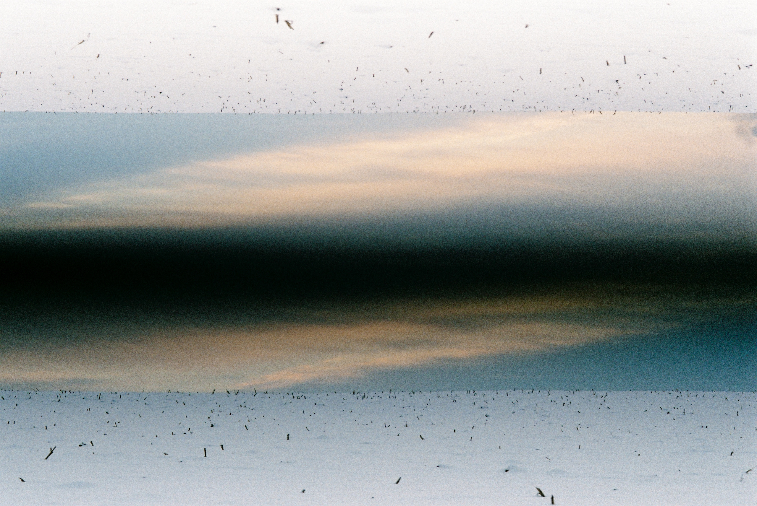 Fuji Superia 400. Фотограф Игорь Гуменников Удмуртия Шаркан