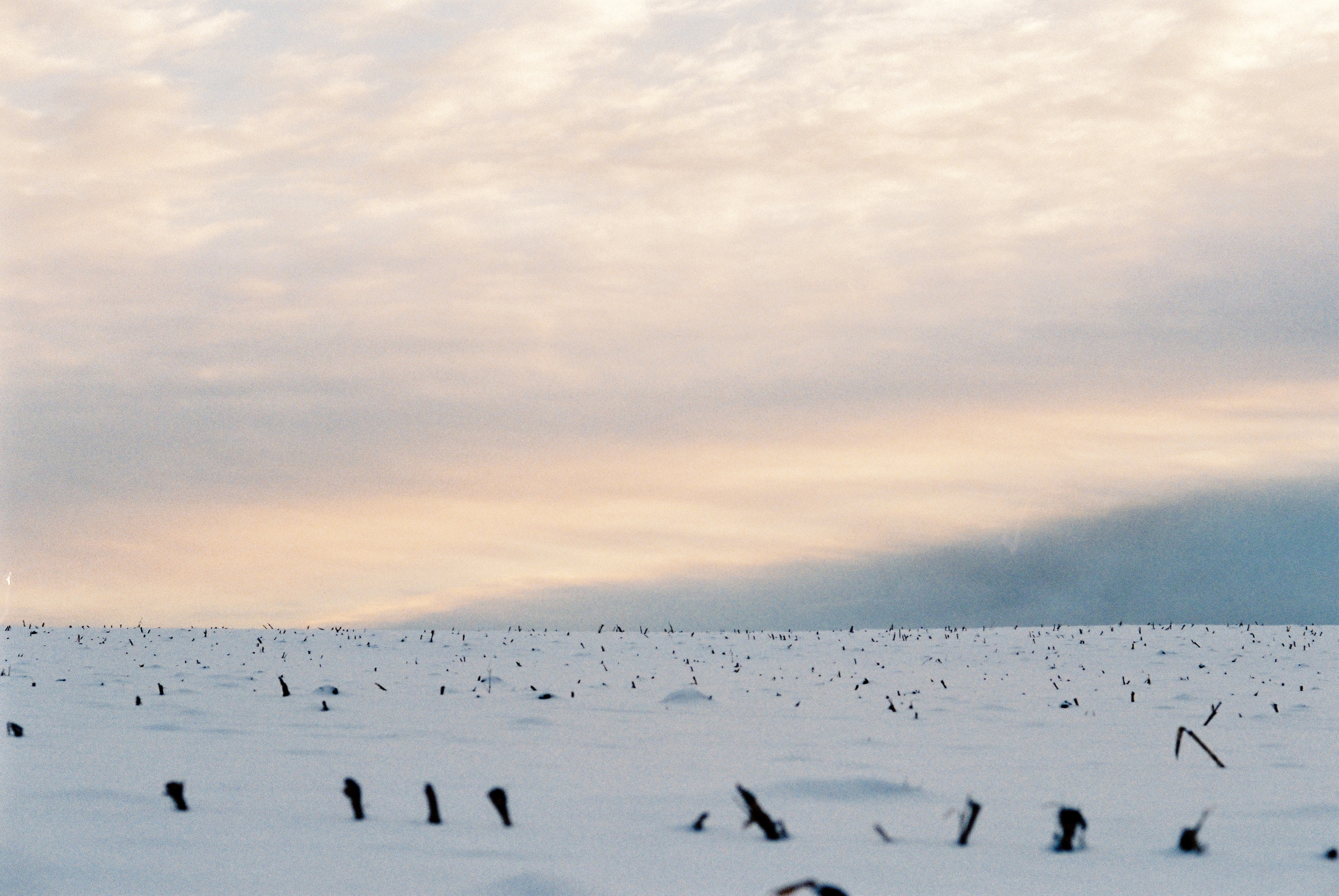 Fuji Superia 400. Фотограф Игорь Гуменников Удмуртия Шаркан