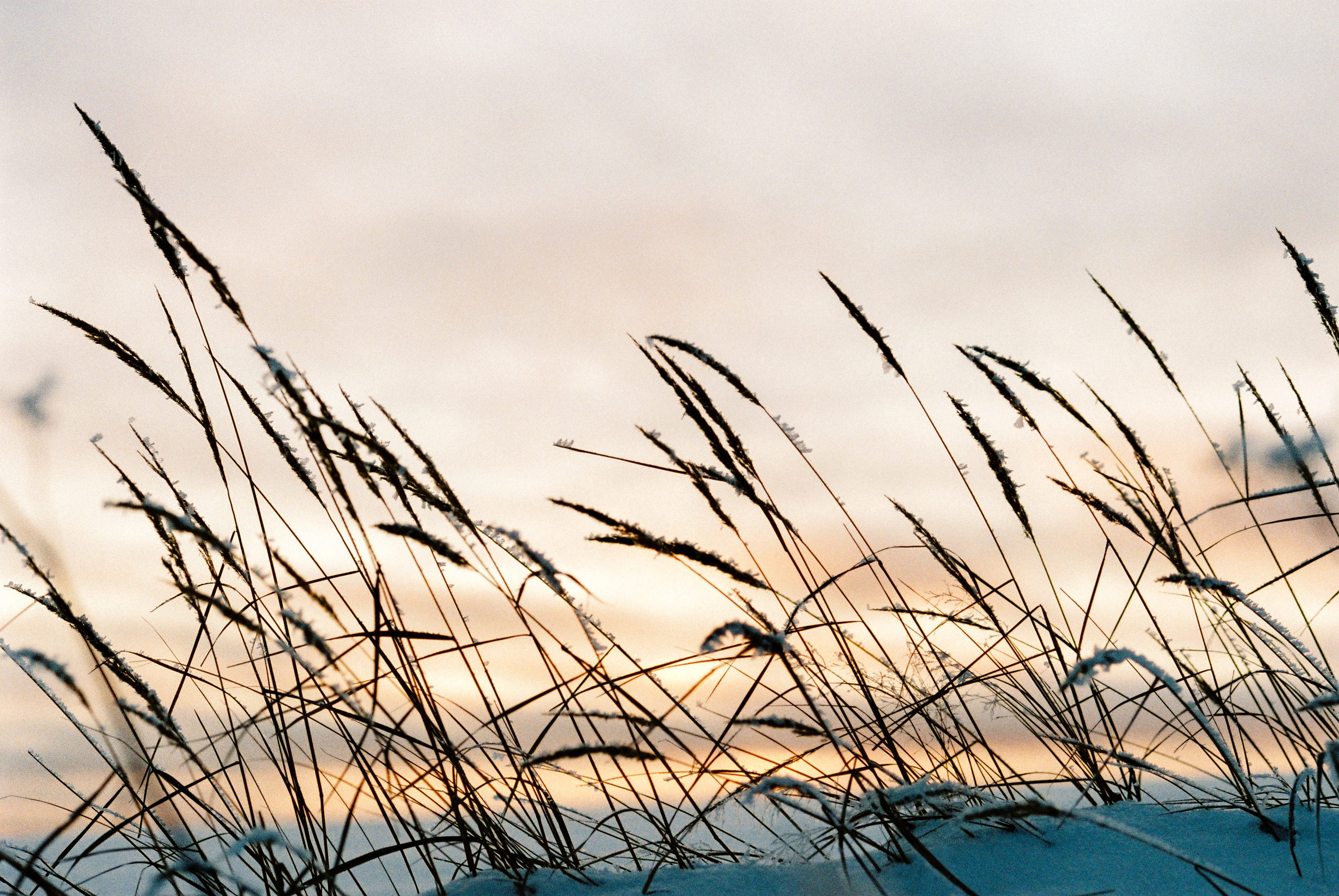 Fuji Superia 400. Фотограф Игорь Гуменников Удмуртия Шаркан