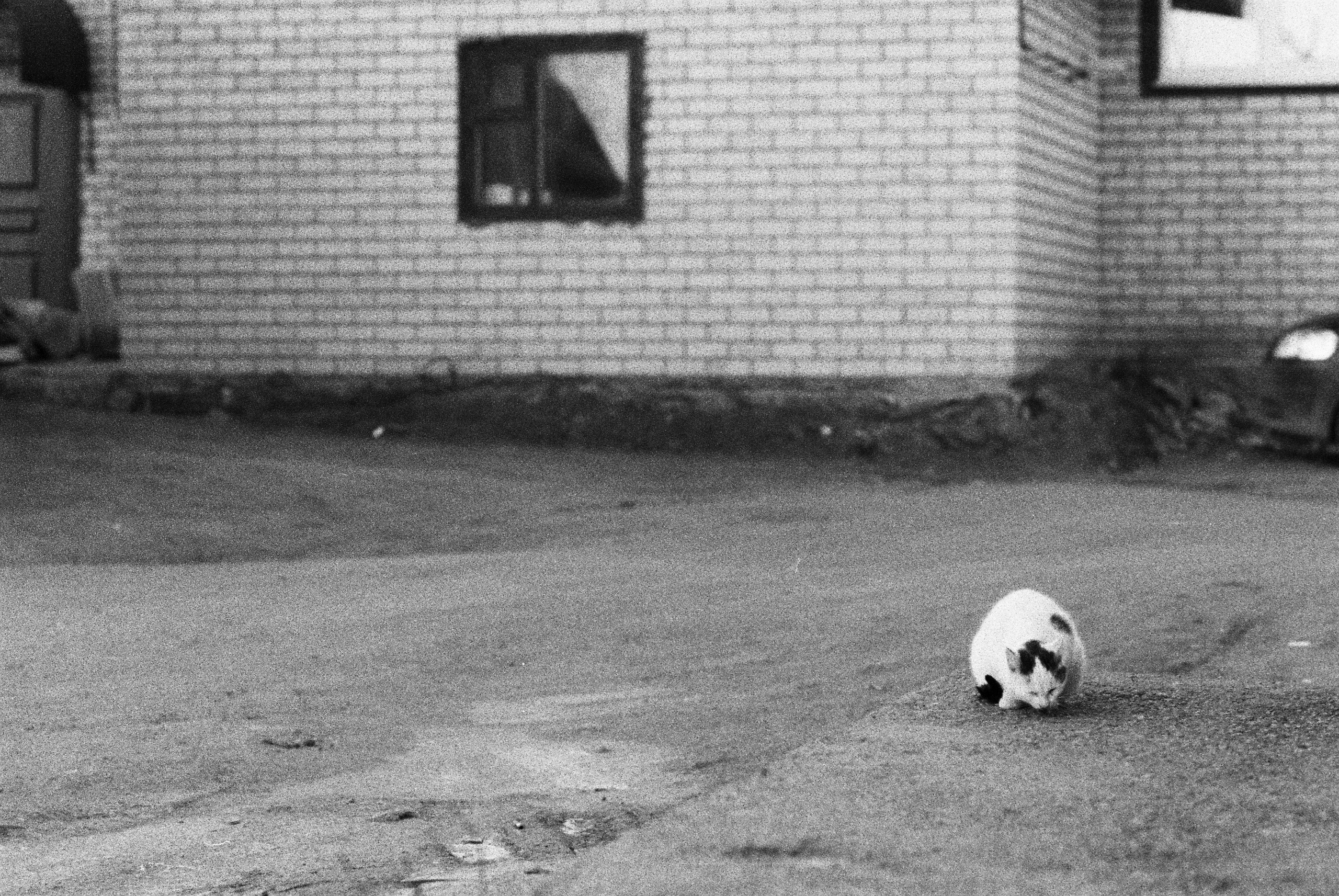 Ilford 3200. Фотограф Игорь Гуменников Удмуртия Шаркан