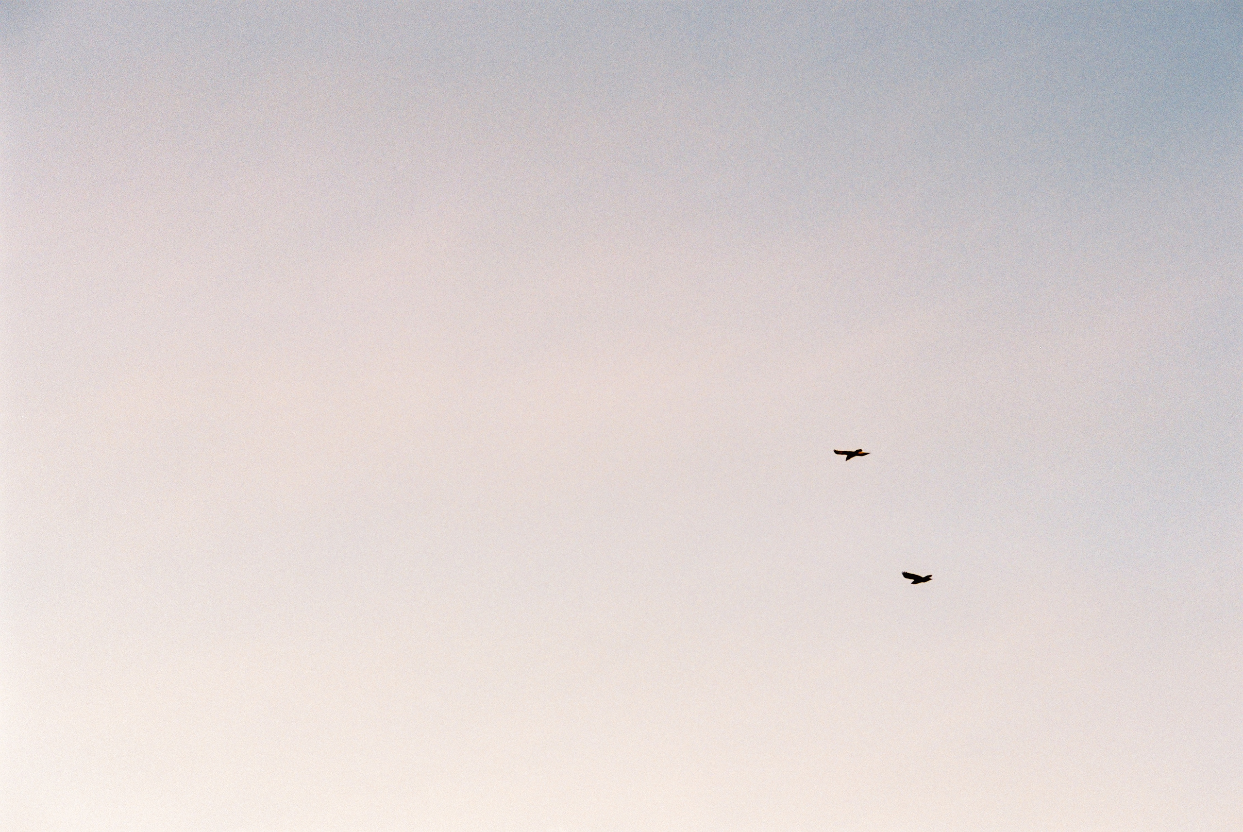 Fuji Superia 400. Фотограф Игорь Гуменников Удмуртия Шаркан