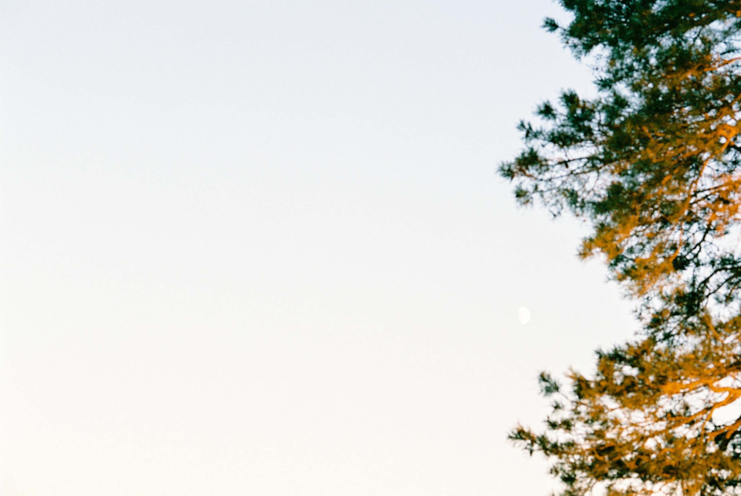 Fuji Superia 400. Фотограф Игорь Гуменников Удмуртия Шаркан