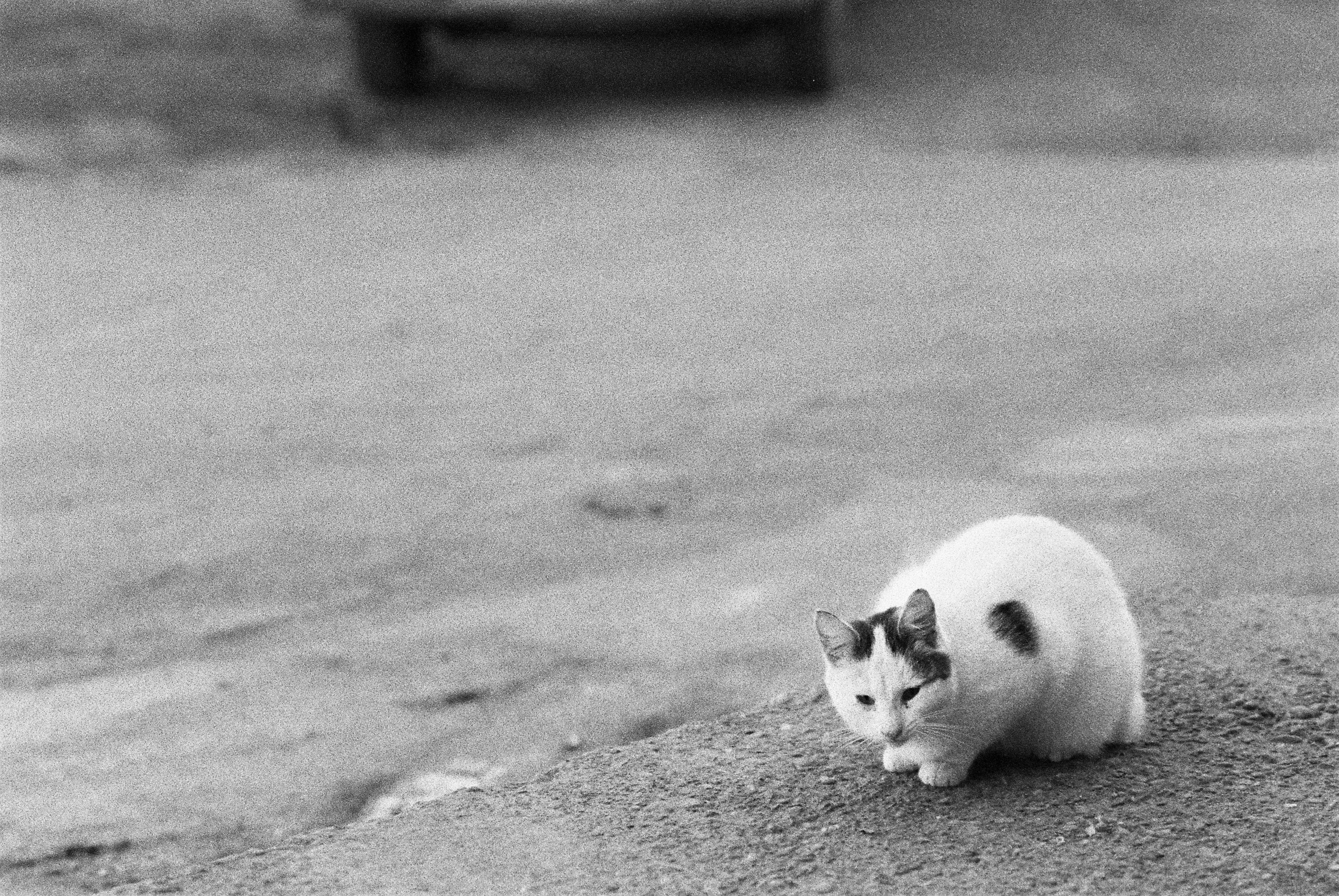 Ilford 3200. Фотограф Игорь Гуменников Удмуртия Шаркан