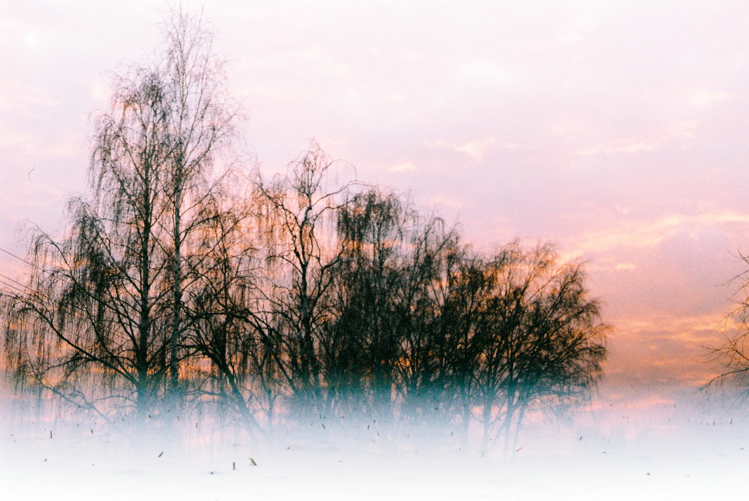 Fuji Superia 400. Фотограф Игорь Гуменников Удмуртия Шаркан