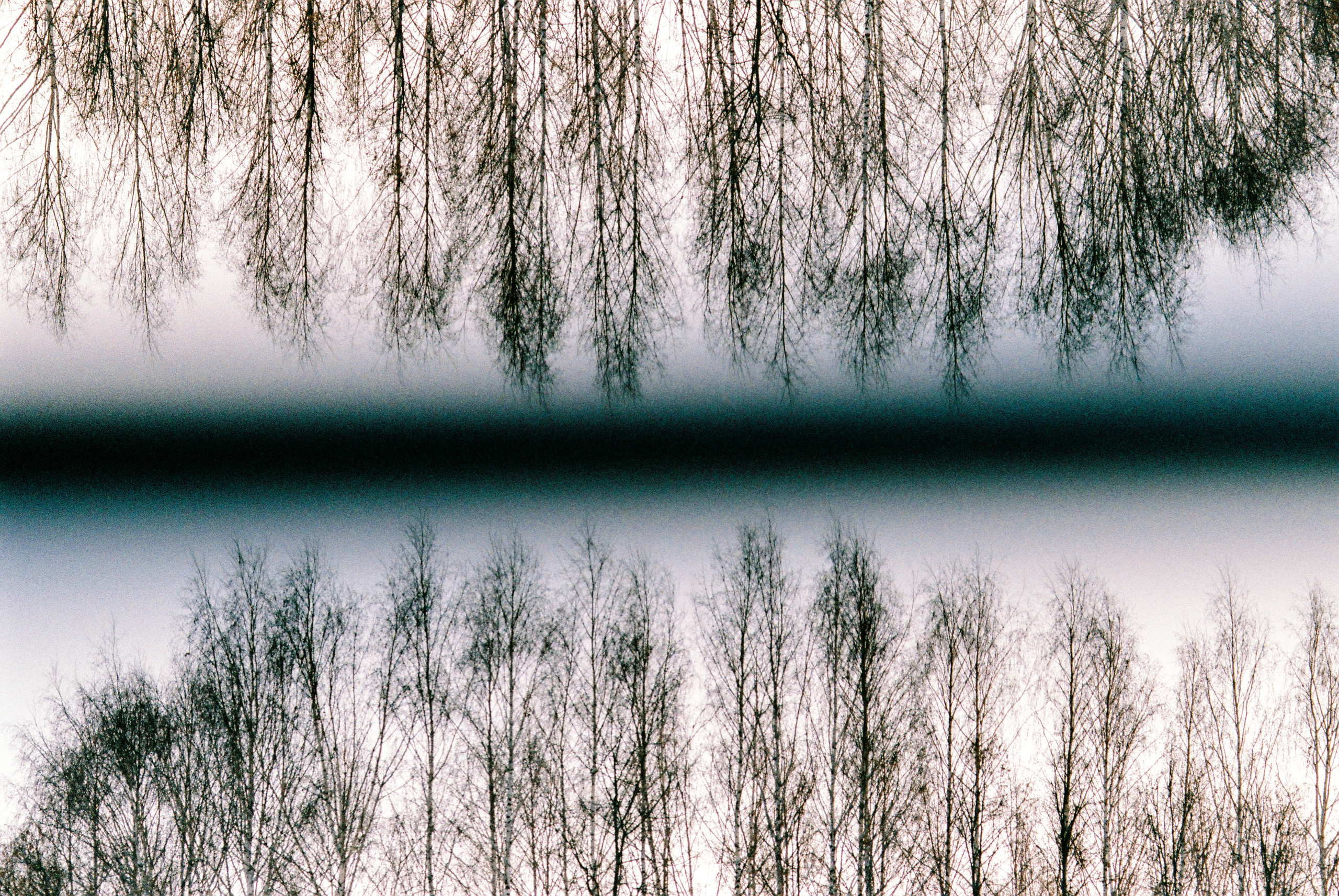 Fuji Superia 400. Фотограф Игорь Гуменников Удмуртия Шаркан