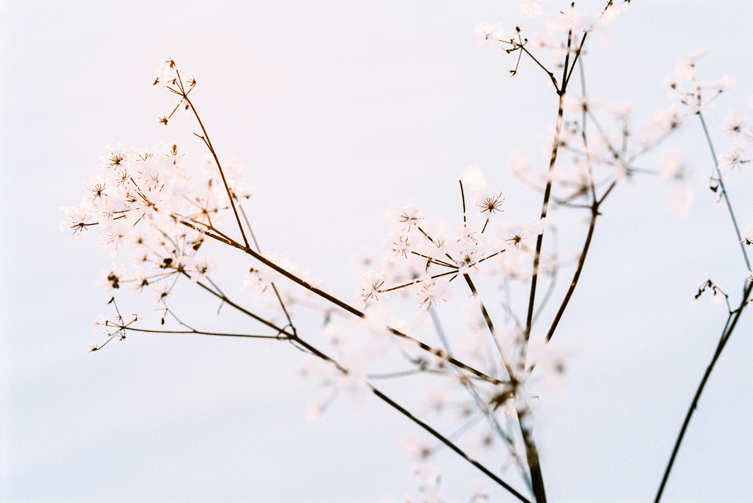 Fuji Superia 400. Фотограф Игорь Гуменников Удмуртия Шаркан