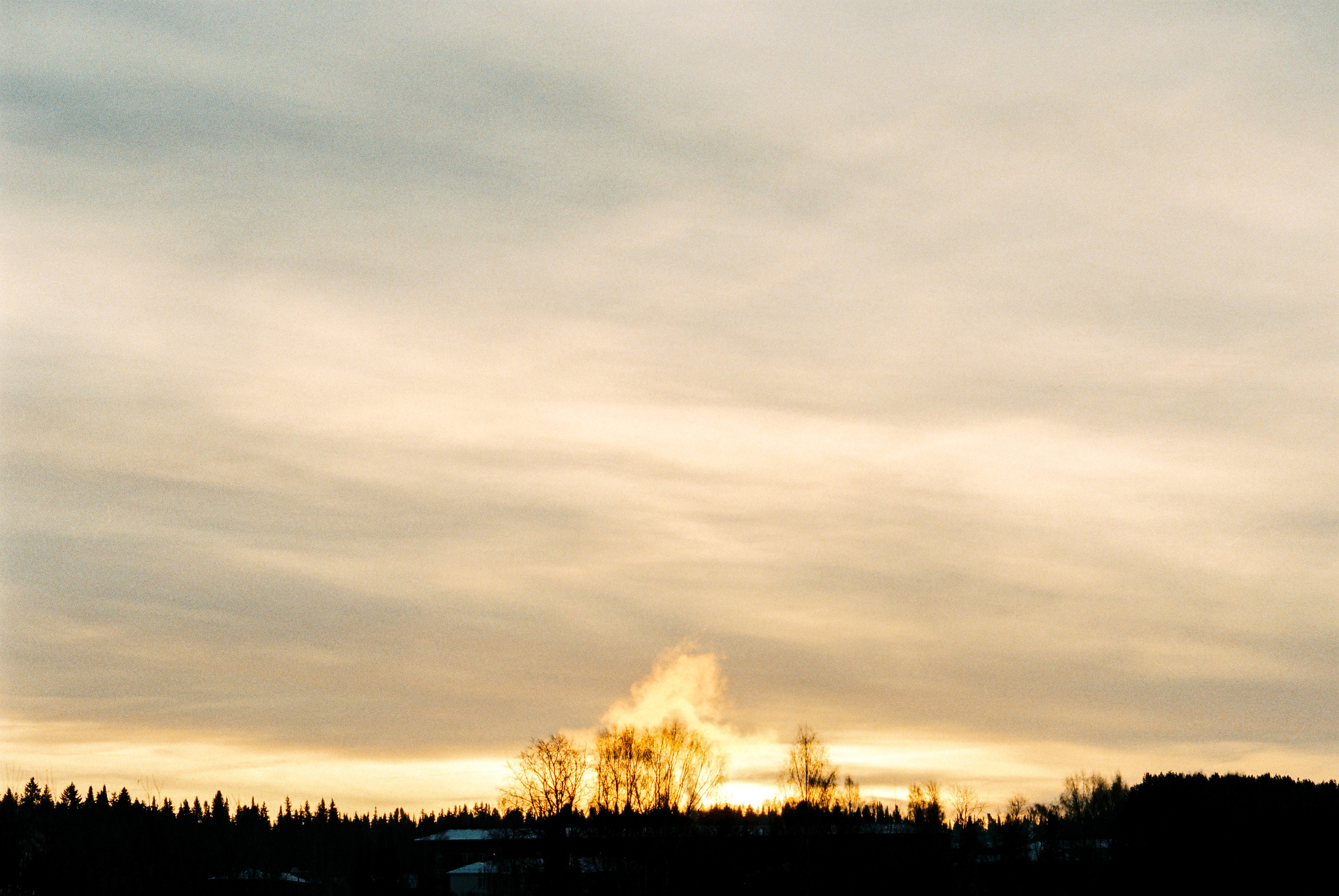 Fuji Superia 400. Фотограф Игорь Гуменников Удмуртия Шаркан