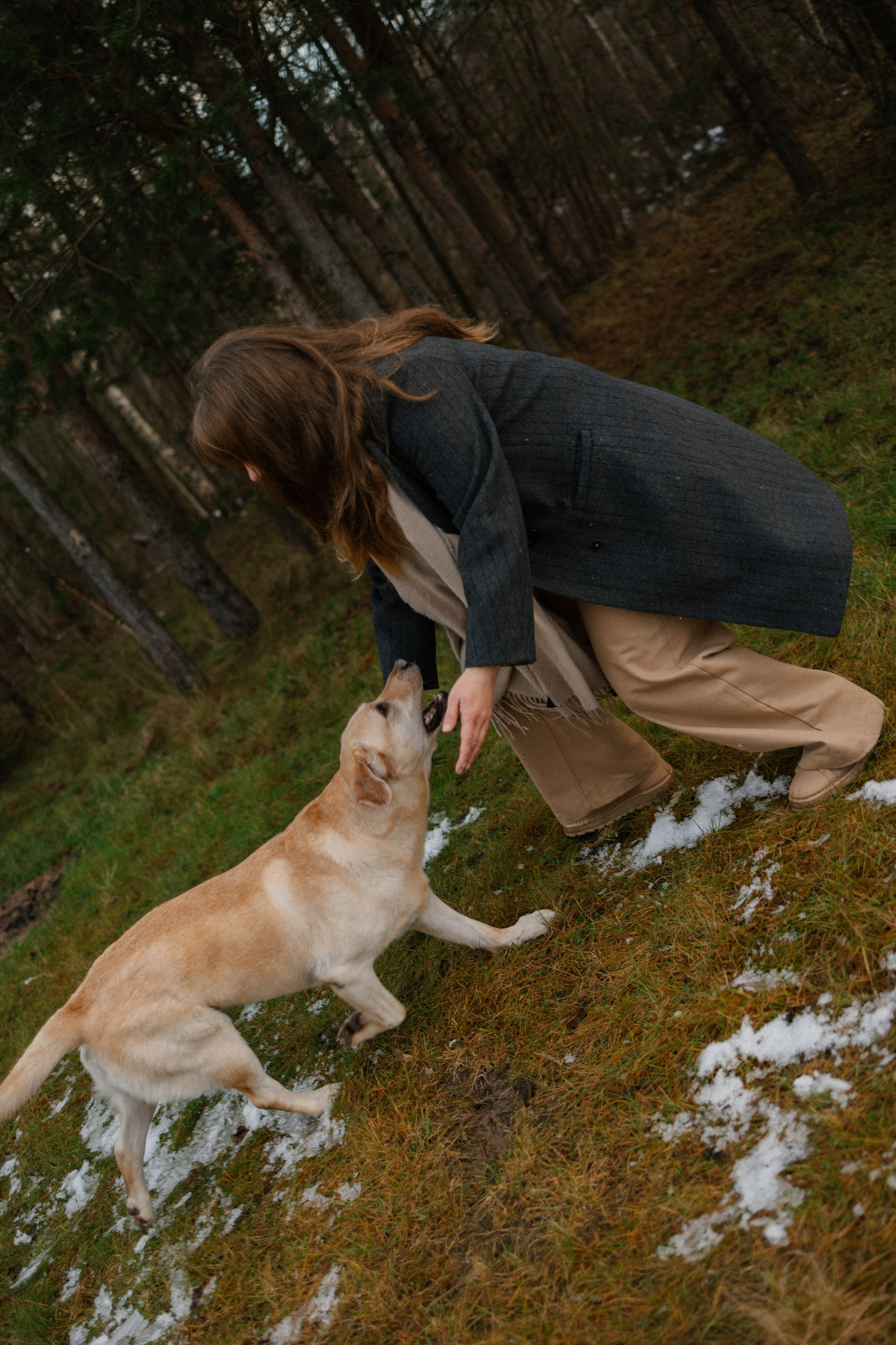 Ирина и Бася. Фотограф — Анималист | Санкт-Петербург
