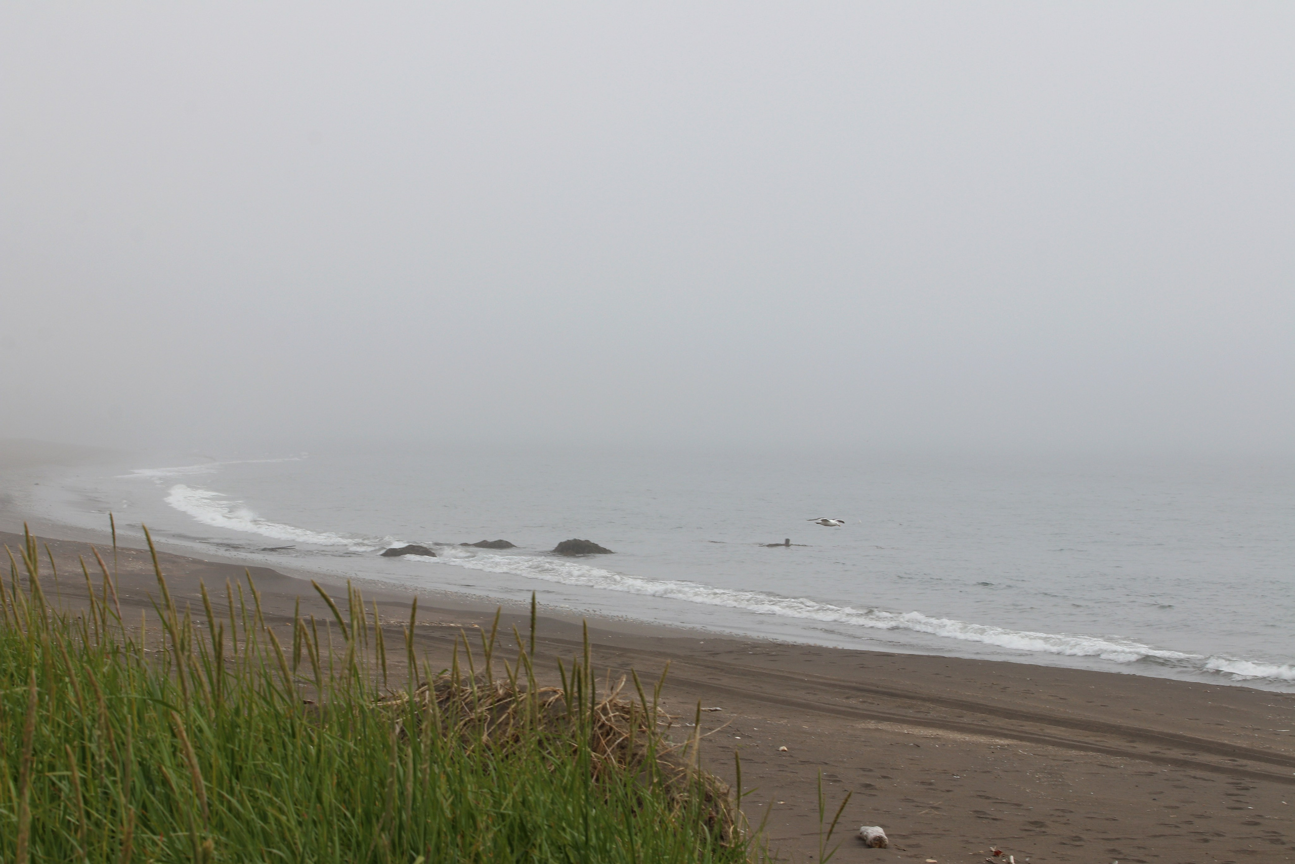 Камчатка и о. Парамушир. Июль 2024. Путешественник-фотограф из Санкт-Петербурга Татьяна Свистулина