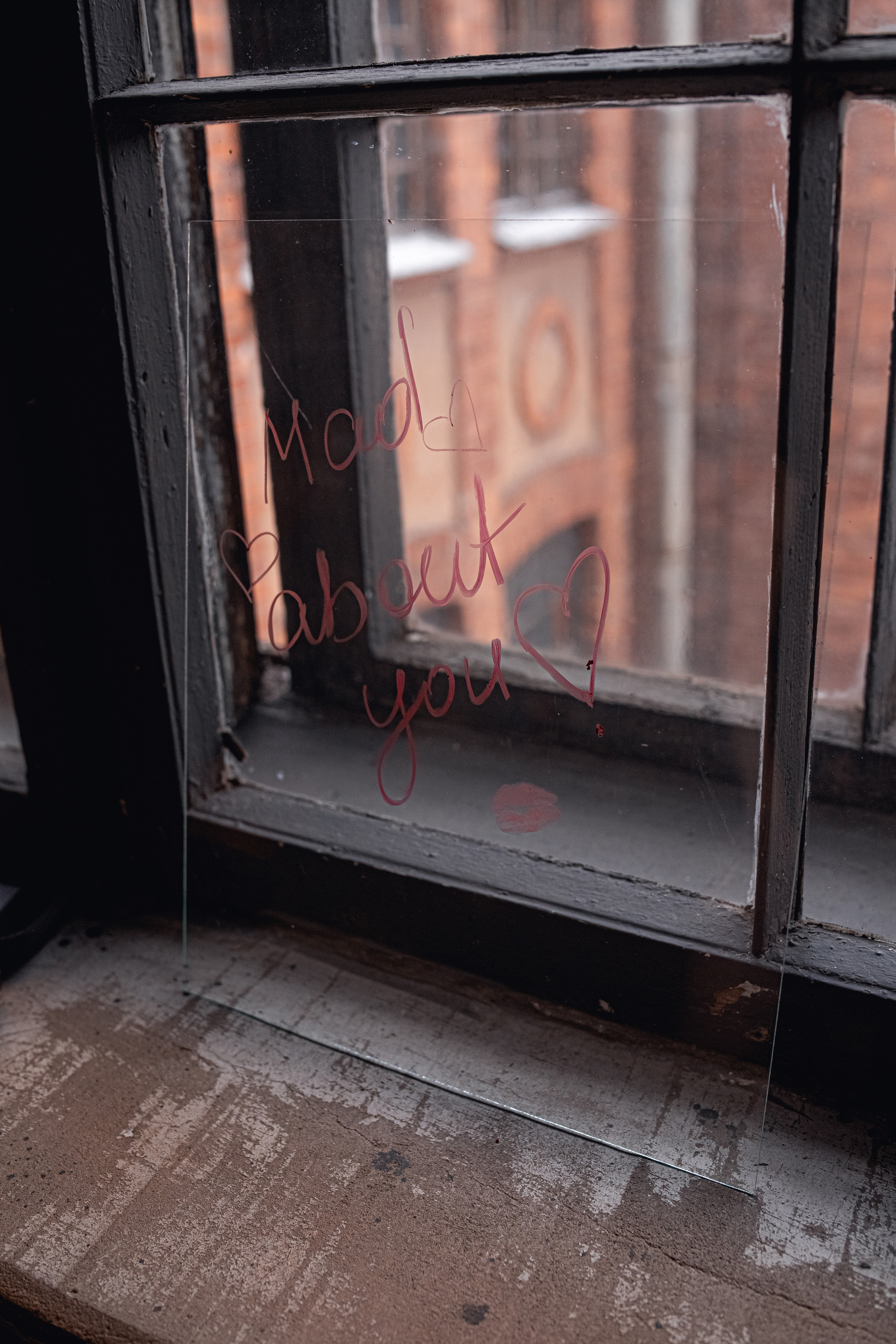 Тюльпаны. Катерина Растокина фотограф в Санкт-Петербурге