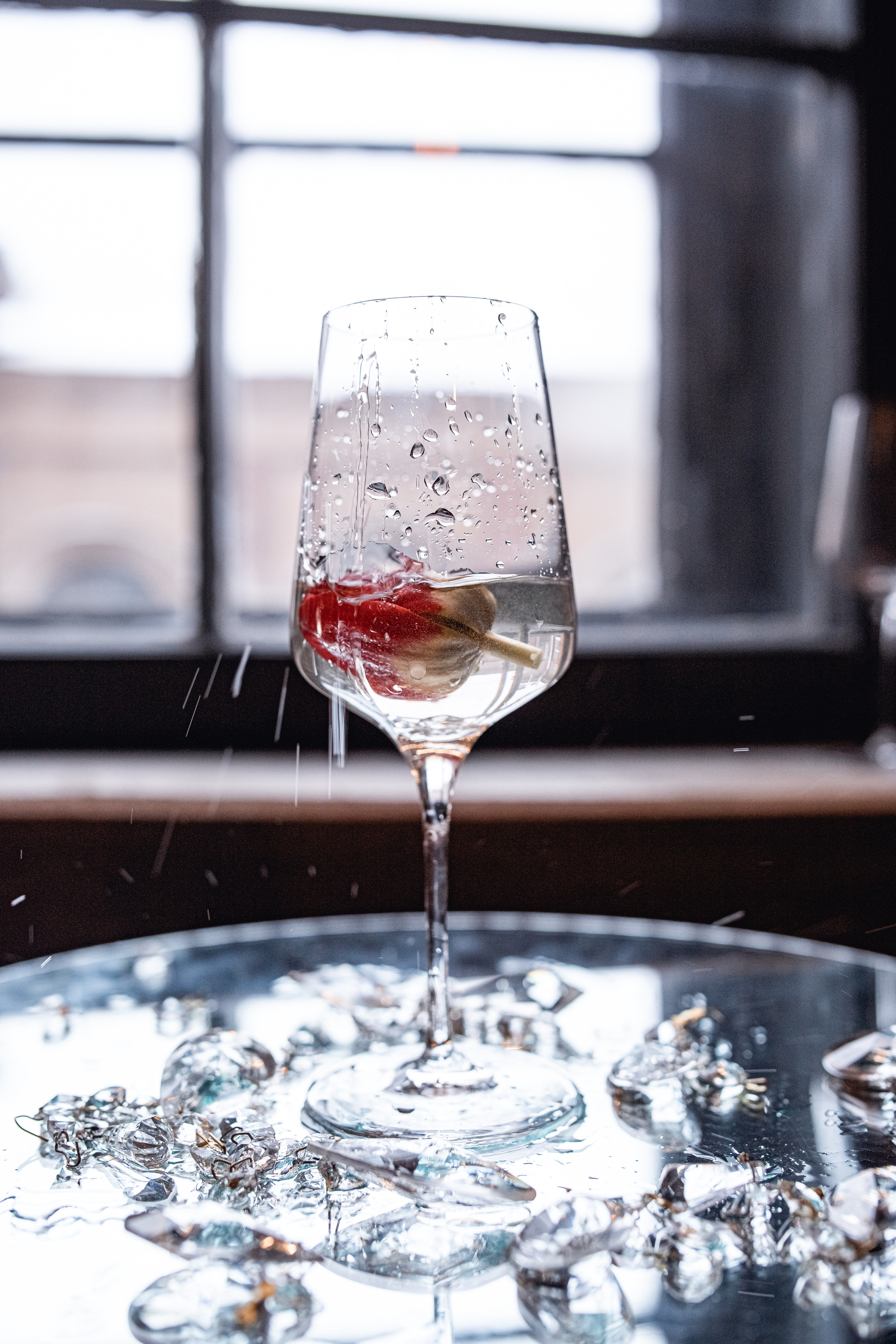 Тюльпаны. Катерина Растокина фотограф в Санкт-Петербурге