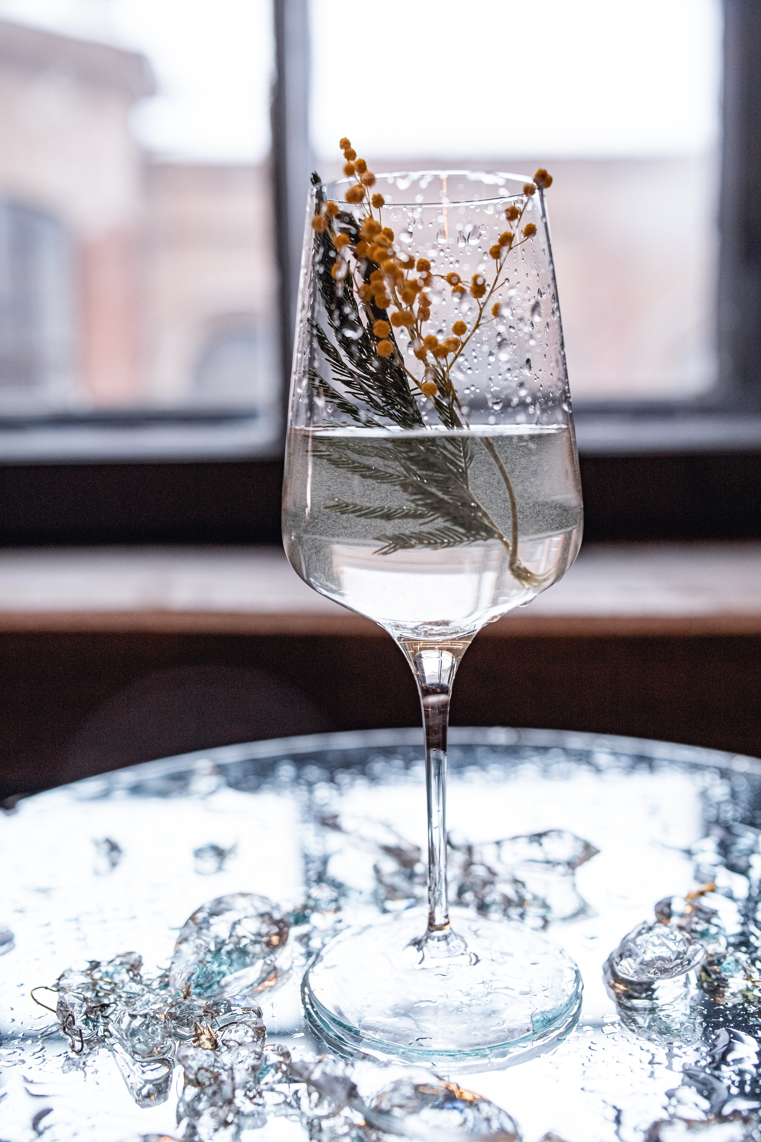 Тюльпаны. Катерина Растокина фотограф в Санкт-Петербурге