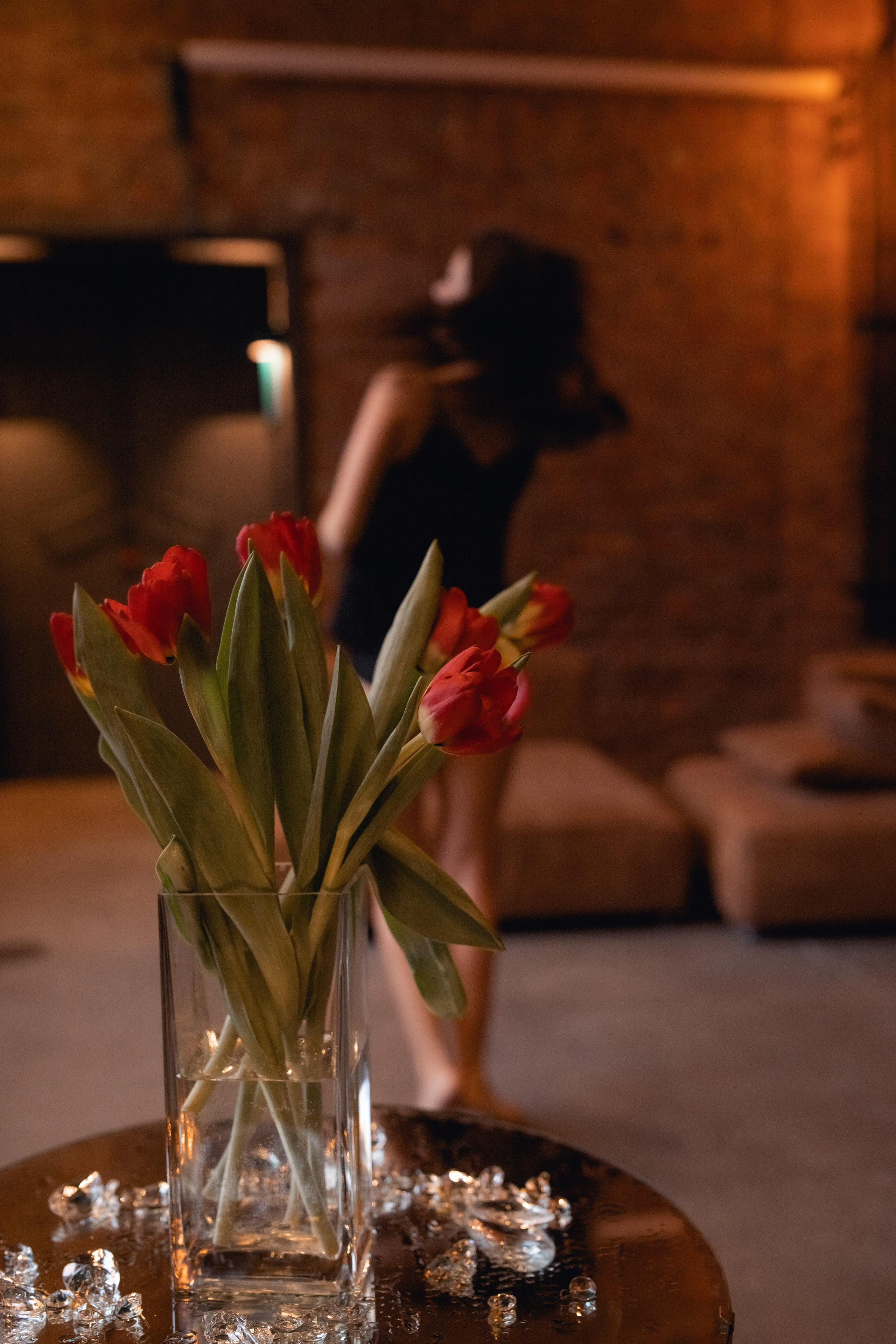 Тюльпаны. Катерина Растокина фотограф в Санкт-Петербурге