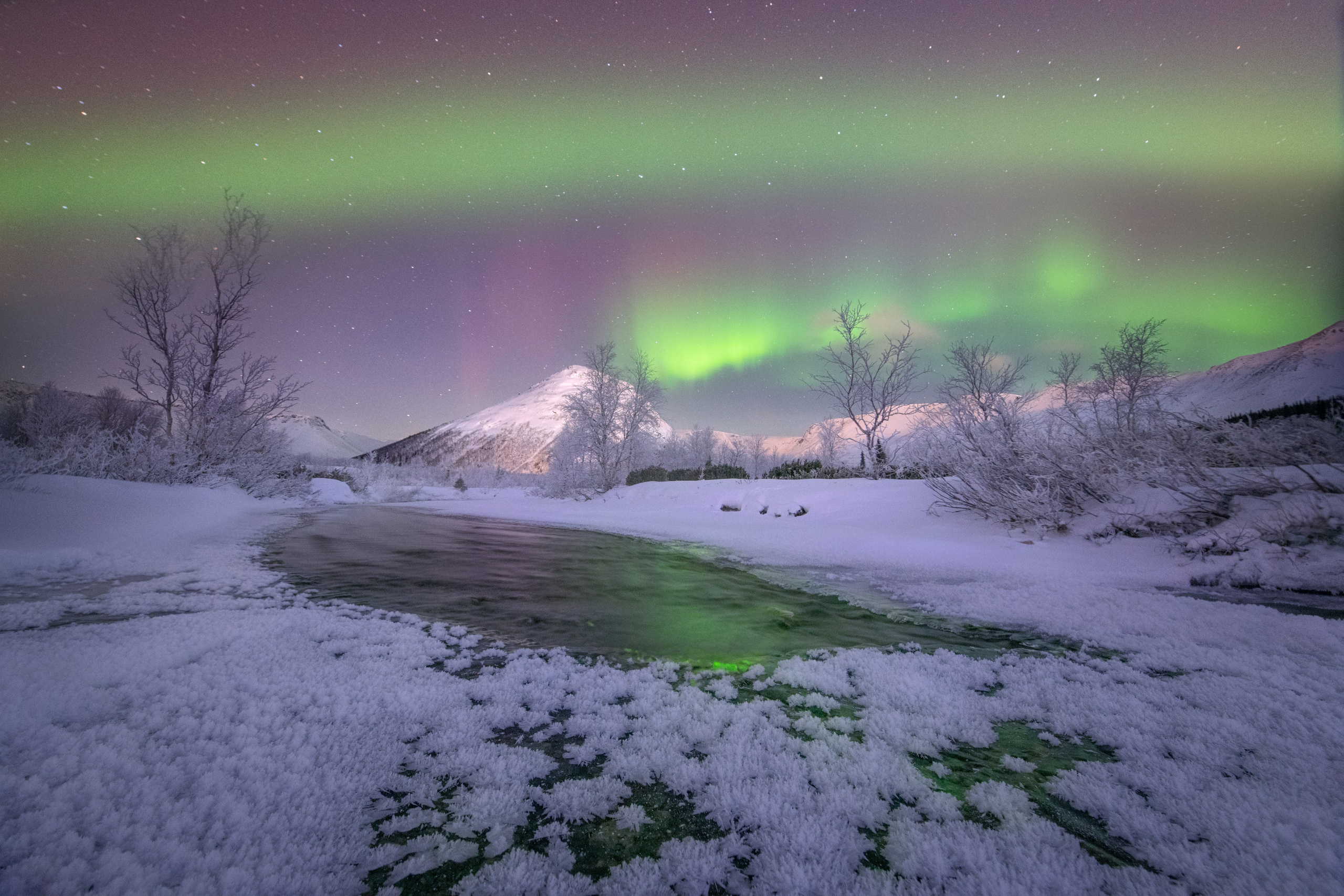 Пейзажный фотограф Ермолина Елена