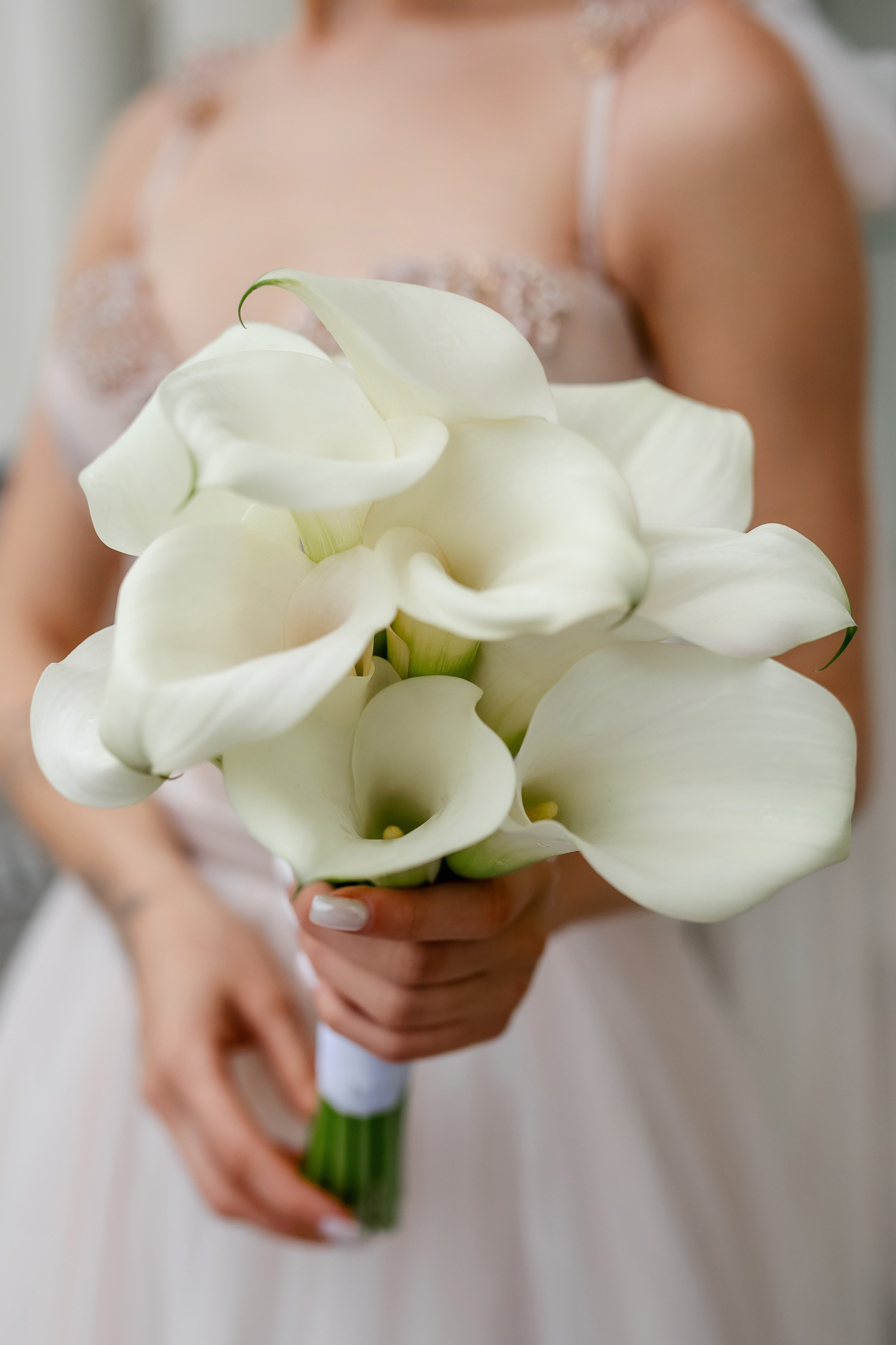 Степан и Ульяна. Утро. Загс. Прогулка. Дождь и солнце. Свадебный фотограф в Хабаровске