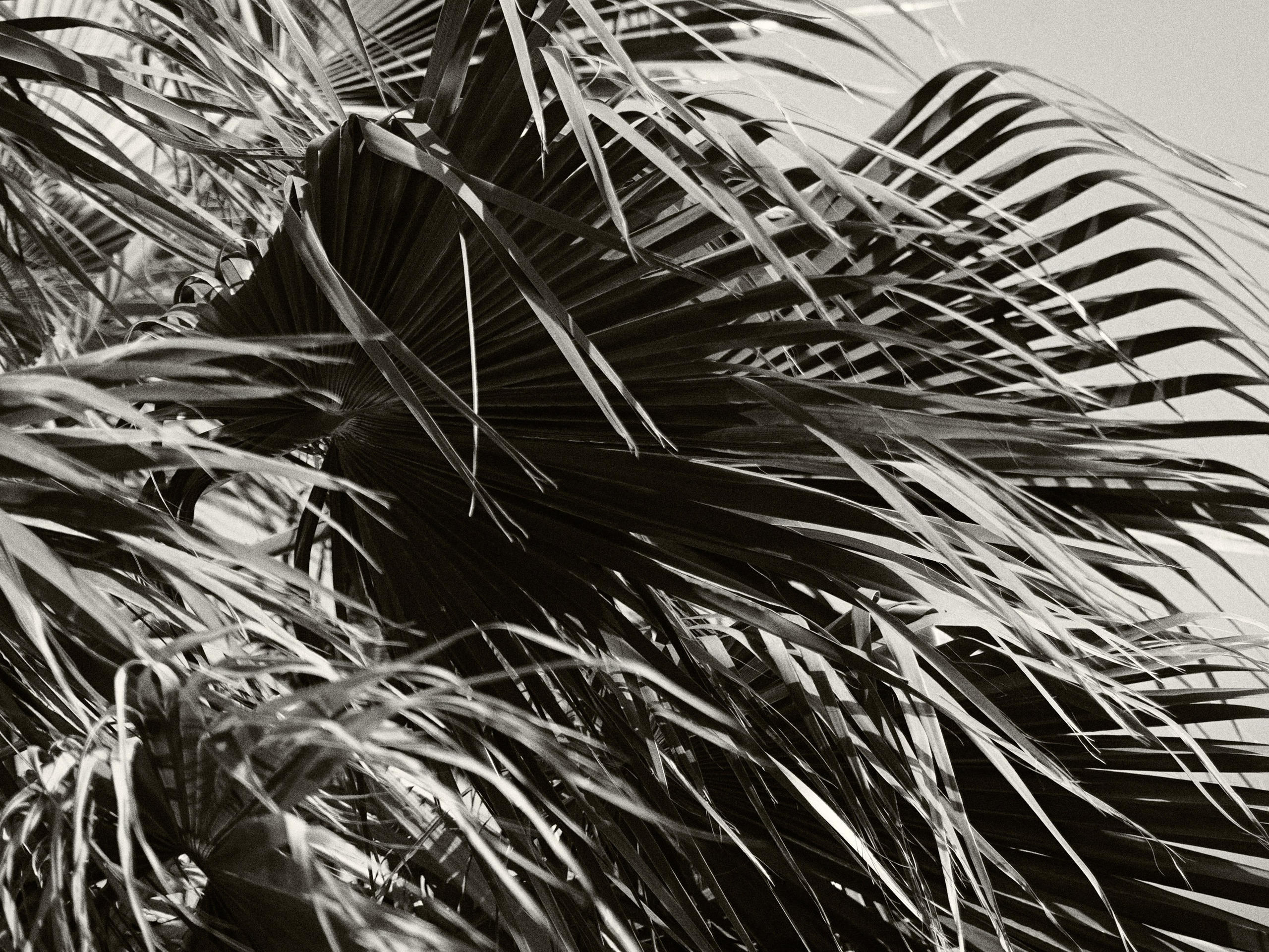 Улица горизонтальная. Jorgis — фотограф в Хургаде / обучение фотографии