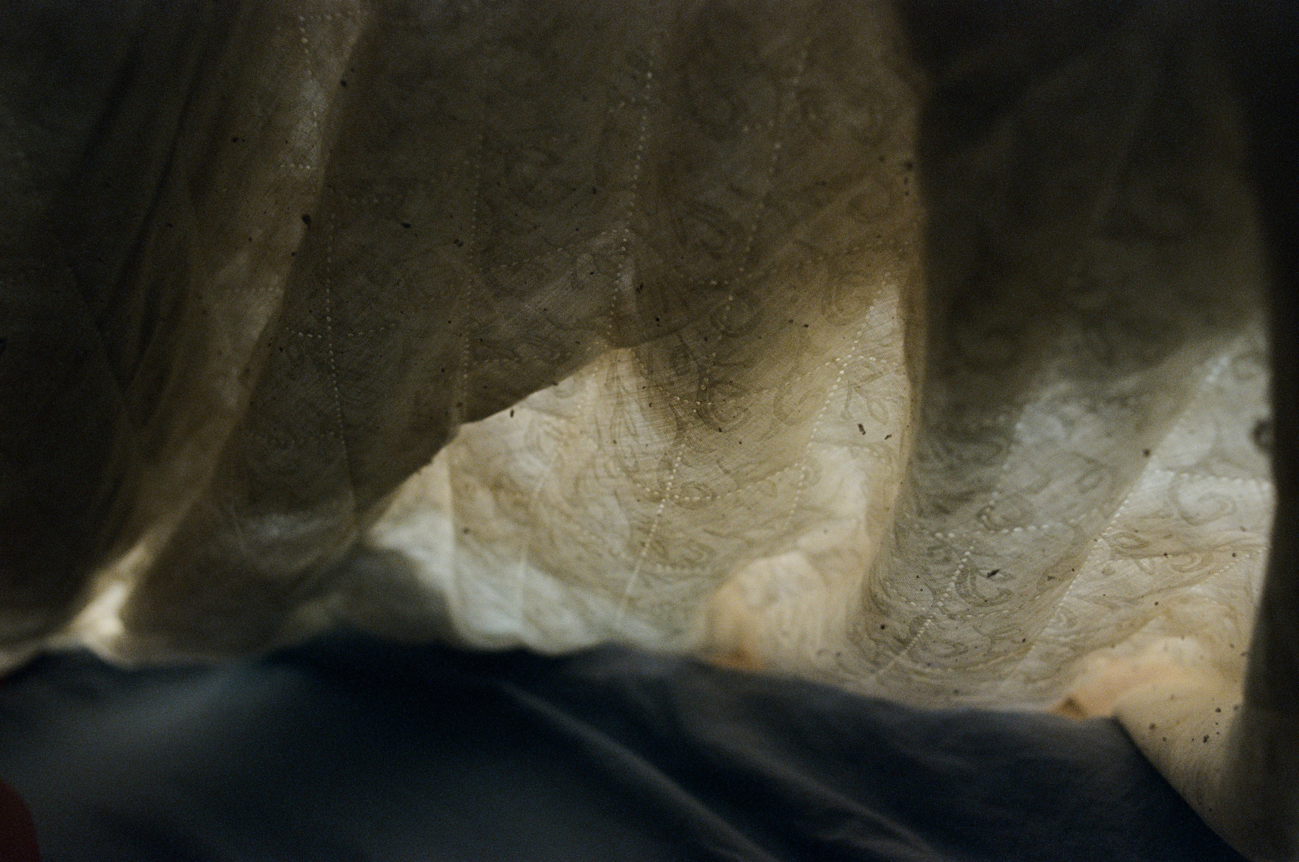 Journal. Photographer Dima Sharov | Фотограф Дима Шаров