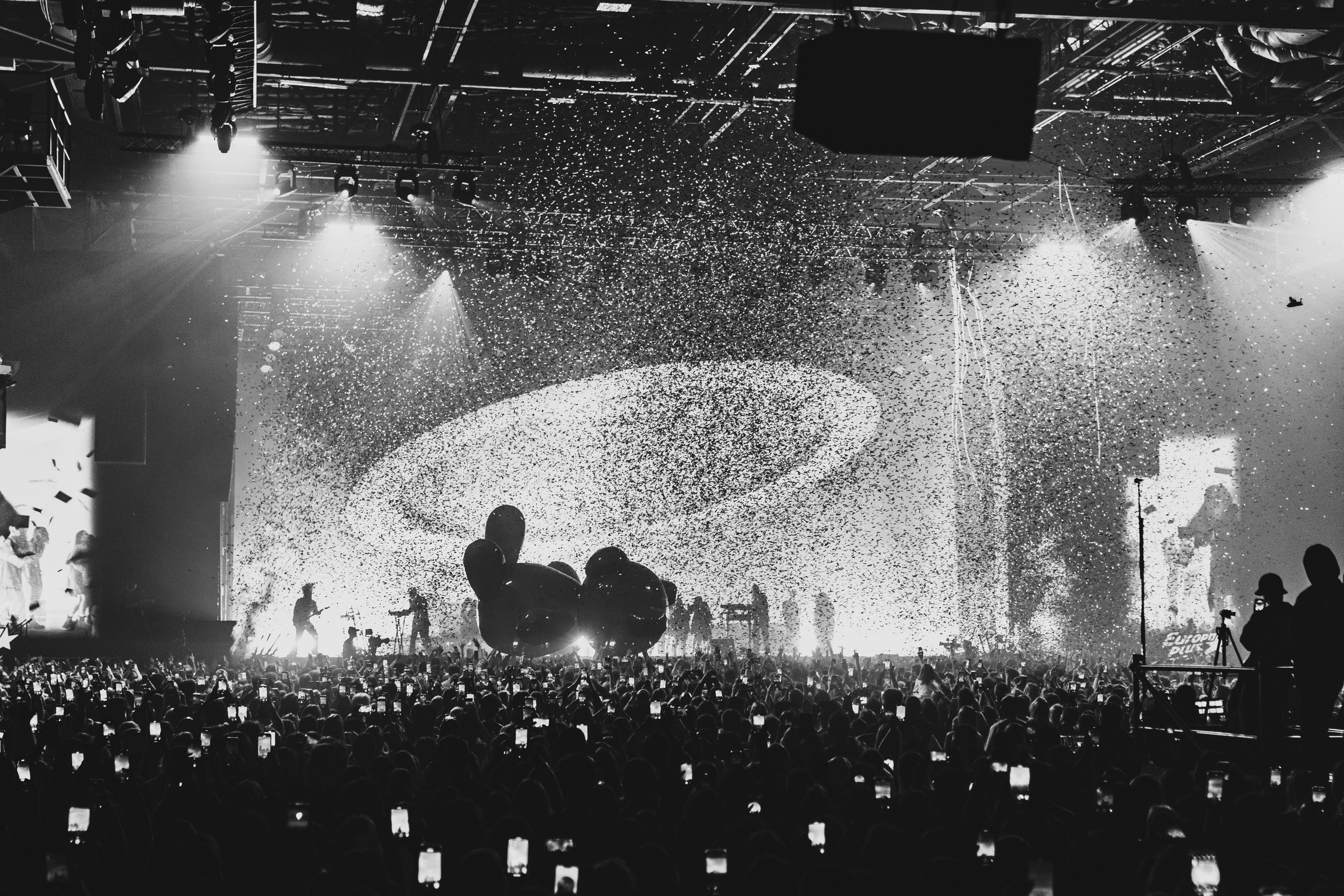 Моя Мишель / 2025. OOPS