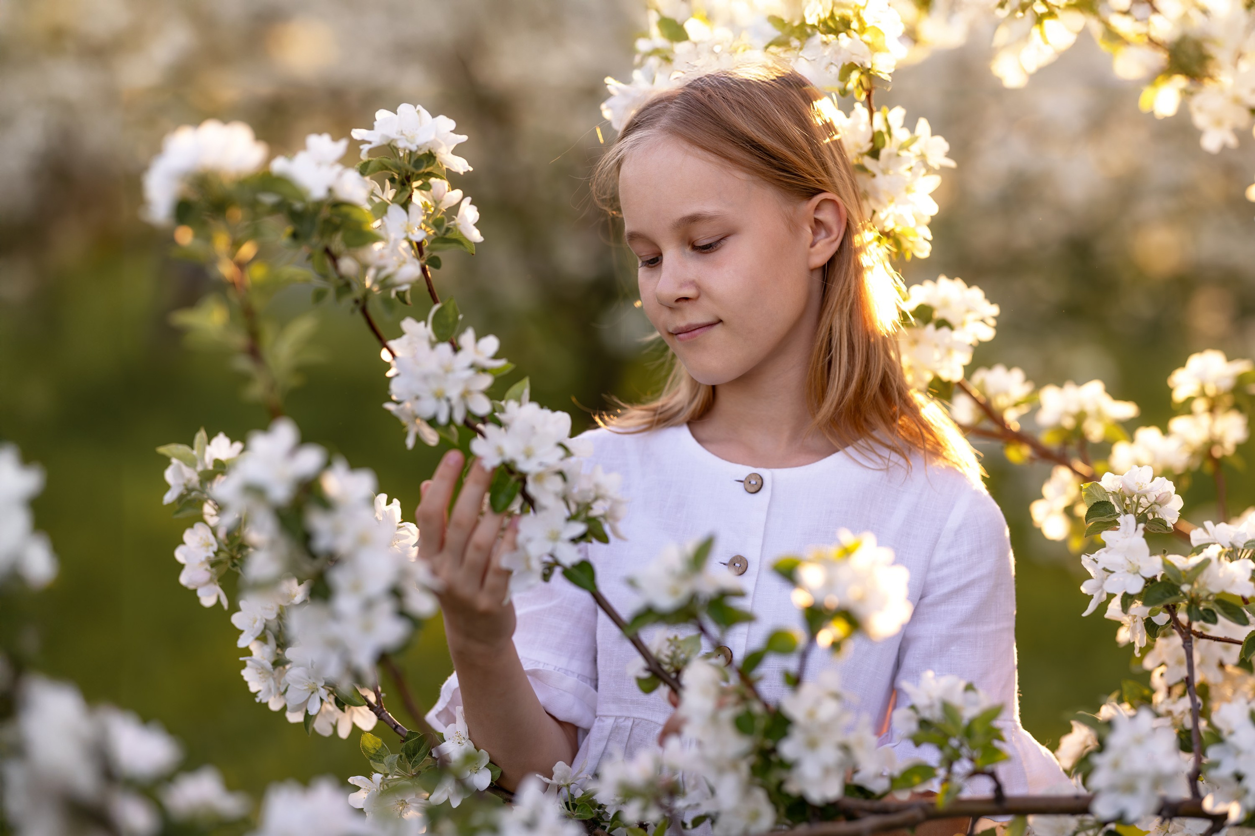 Яблоневый сад. Семейный и детский фотограф в Красноярске, Дивногорцева Светлана