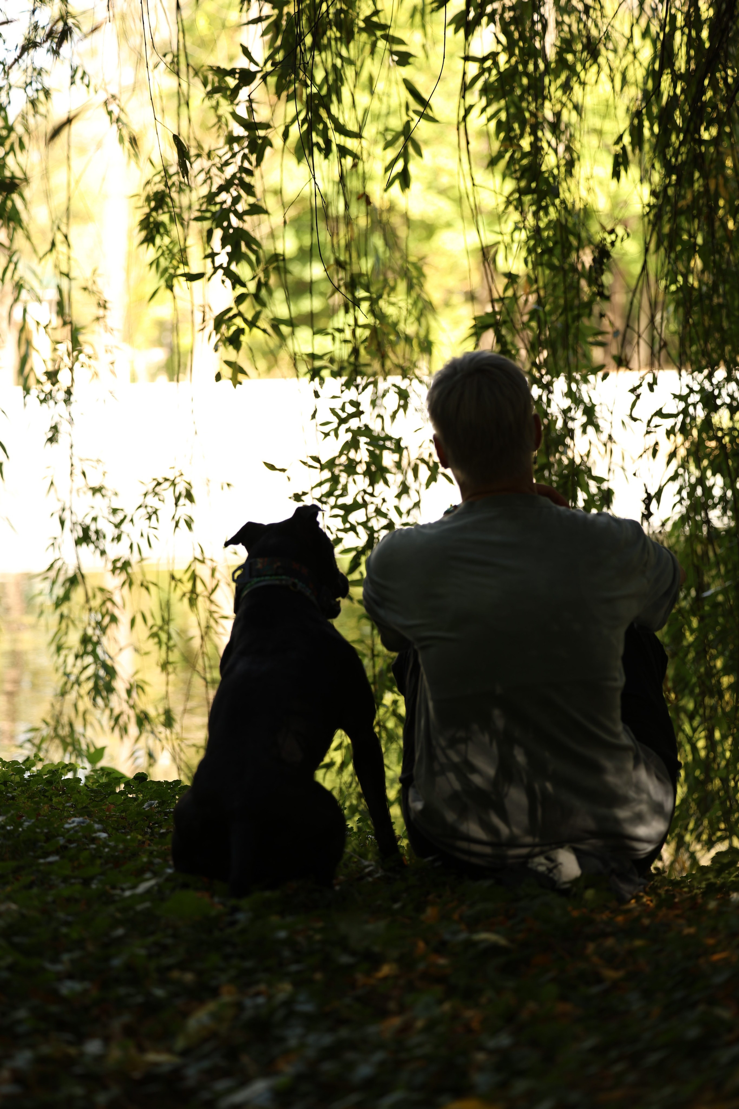 Алена и Бора. Виктория Михайловская. Фотограф-анималист. Москва