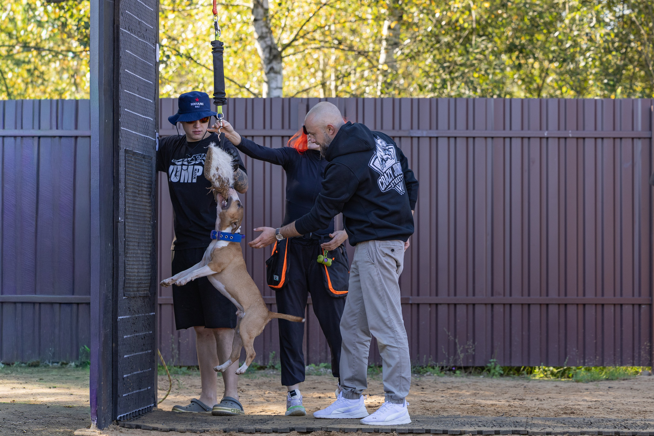 Jump'n'Gym. Виктория Михайловская. Фотограф-анималист. Москва