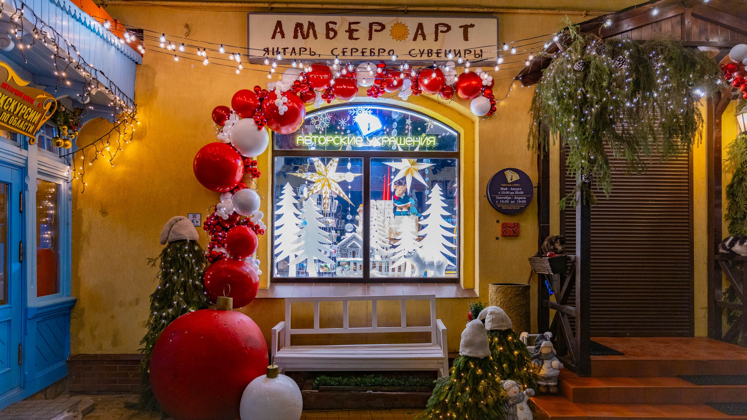 2024 01 Калининград (Светлогорск, Зеленоградск). Фотографии