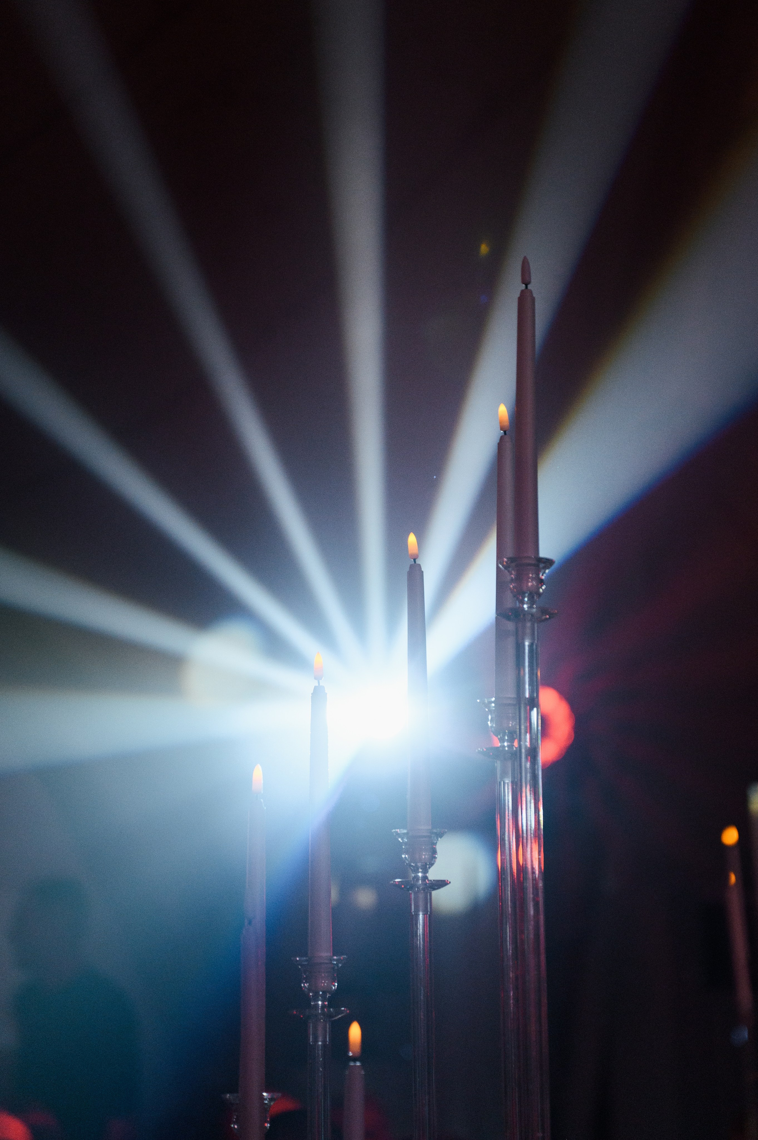 «I ROSE YOU» Нариман и София. Свадебный фотограф и видеограф