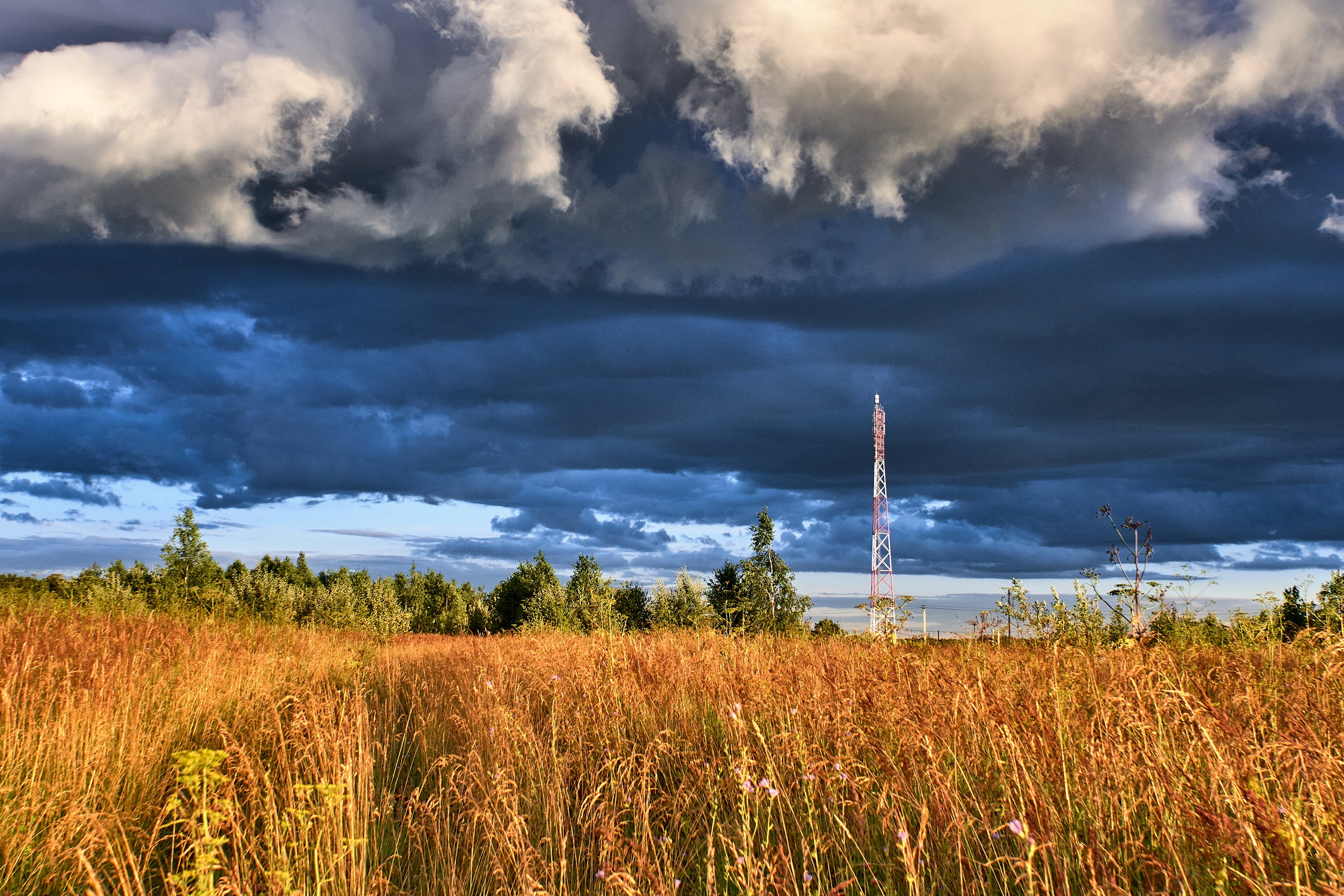Zaoksky.Photo Санкт-Петербург