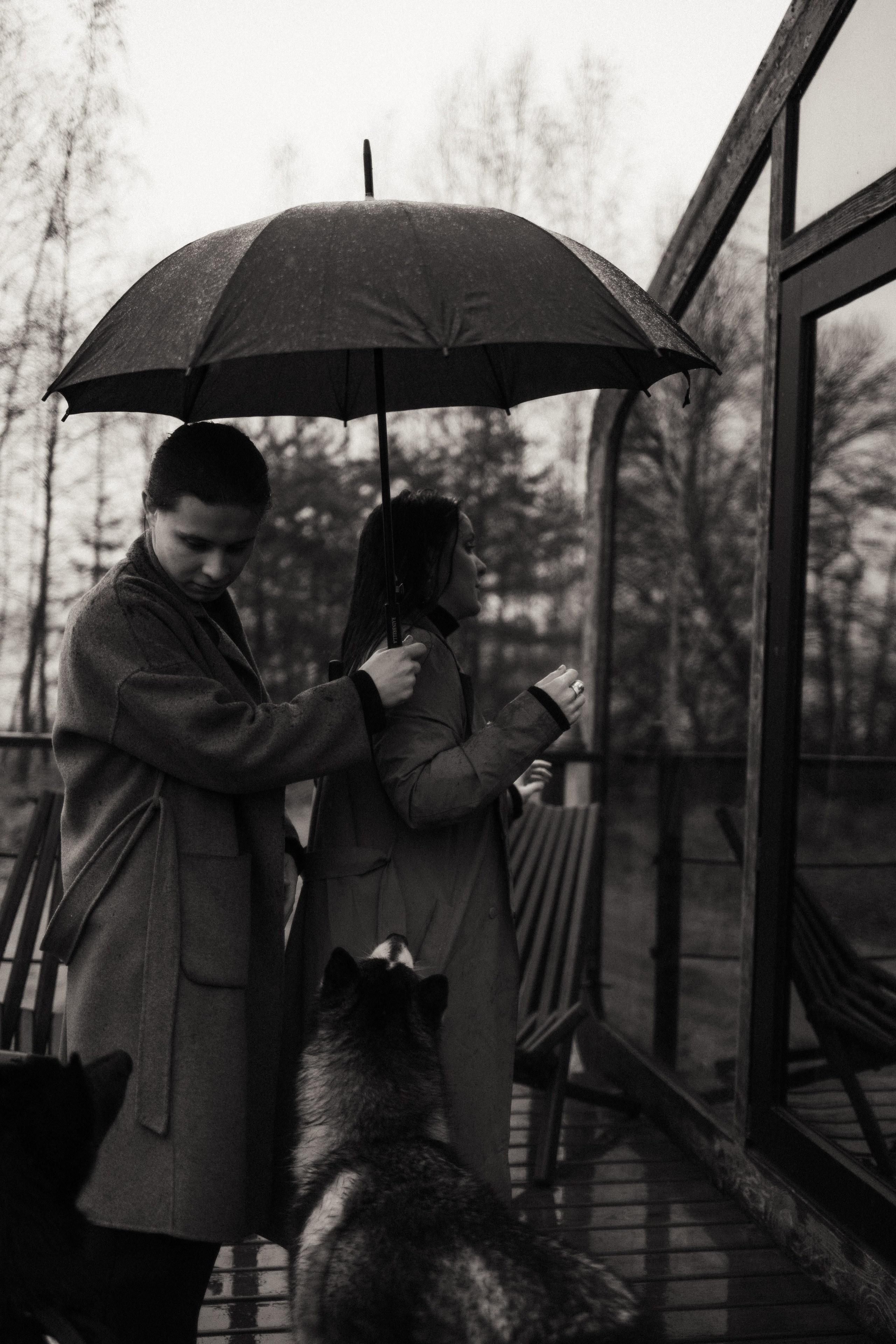 Лена, Глеб, Ральф и Рэй. Фотограф в Выборге и Санкт-Петербурге Маша Гуляева