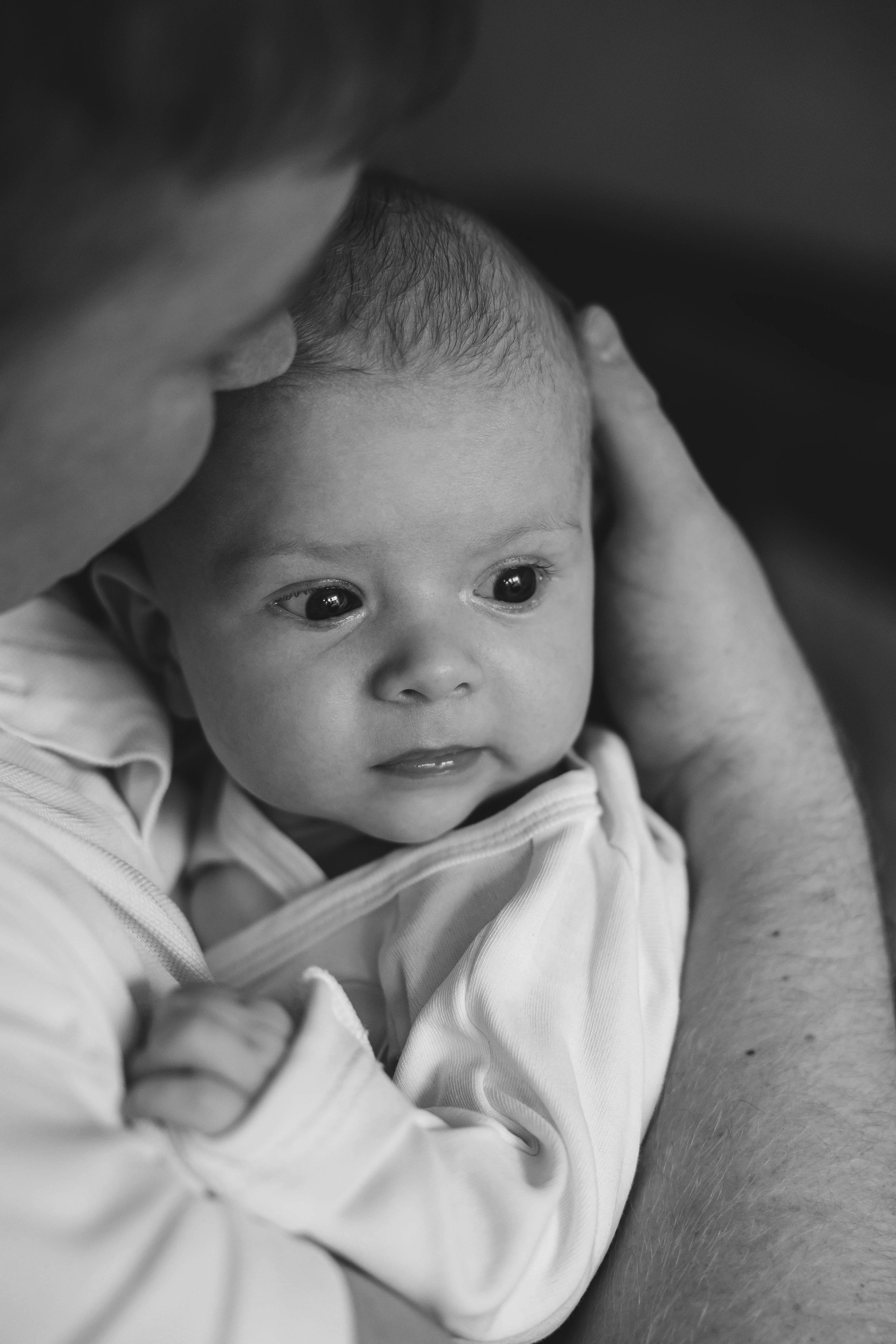 Леон, 3 месяца. Главная