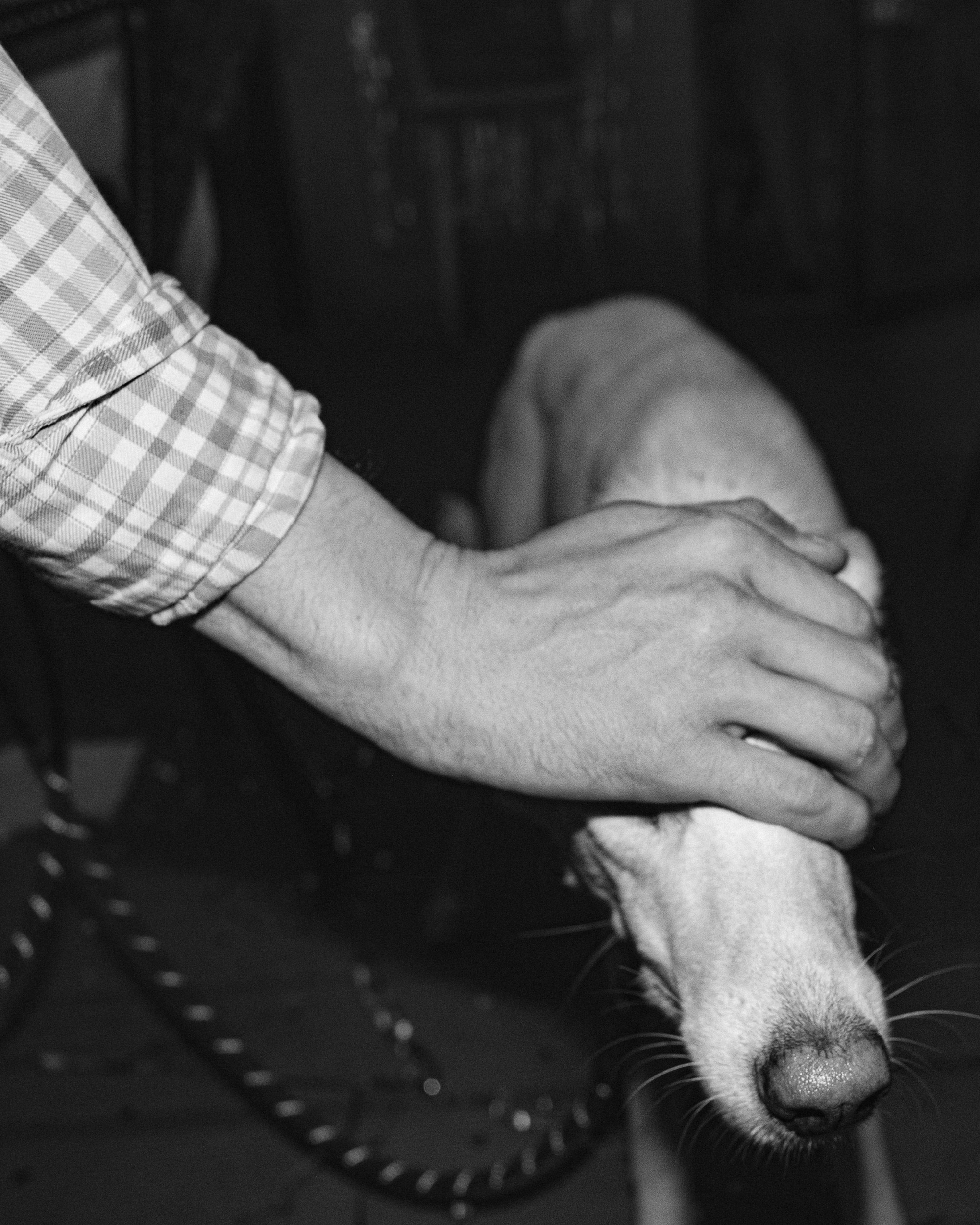 Odno vino. Свадебный и портретный фотограф в Москве Сергей Бузин