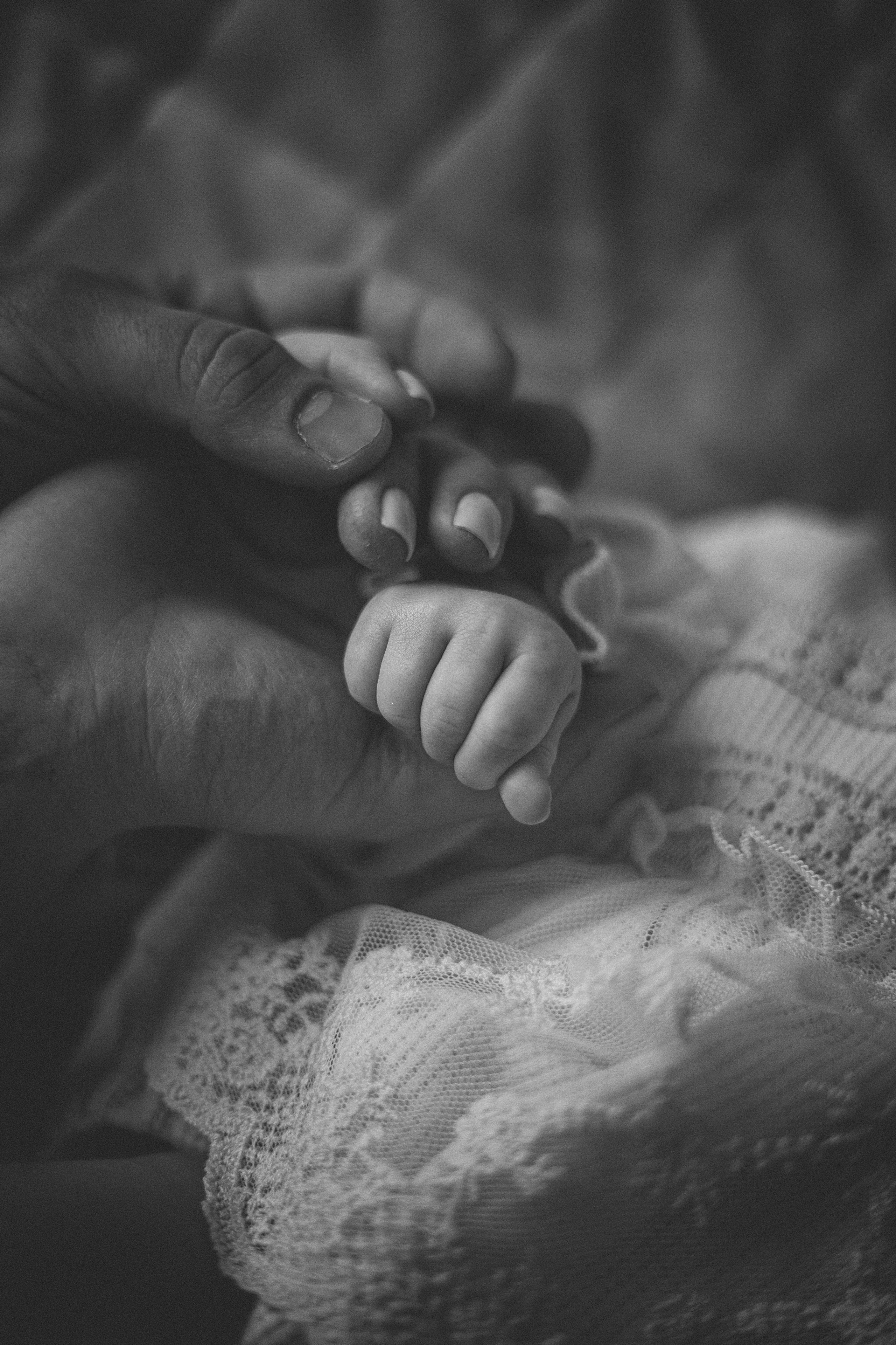 HOME. Фотограф и Видеограф в Москве Дарья Арсентьева