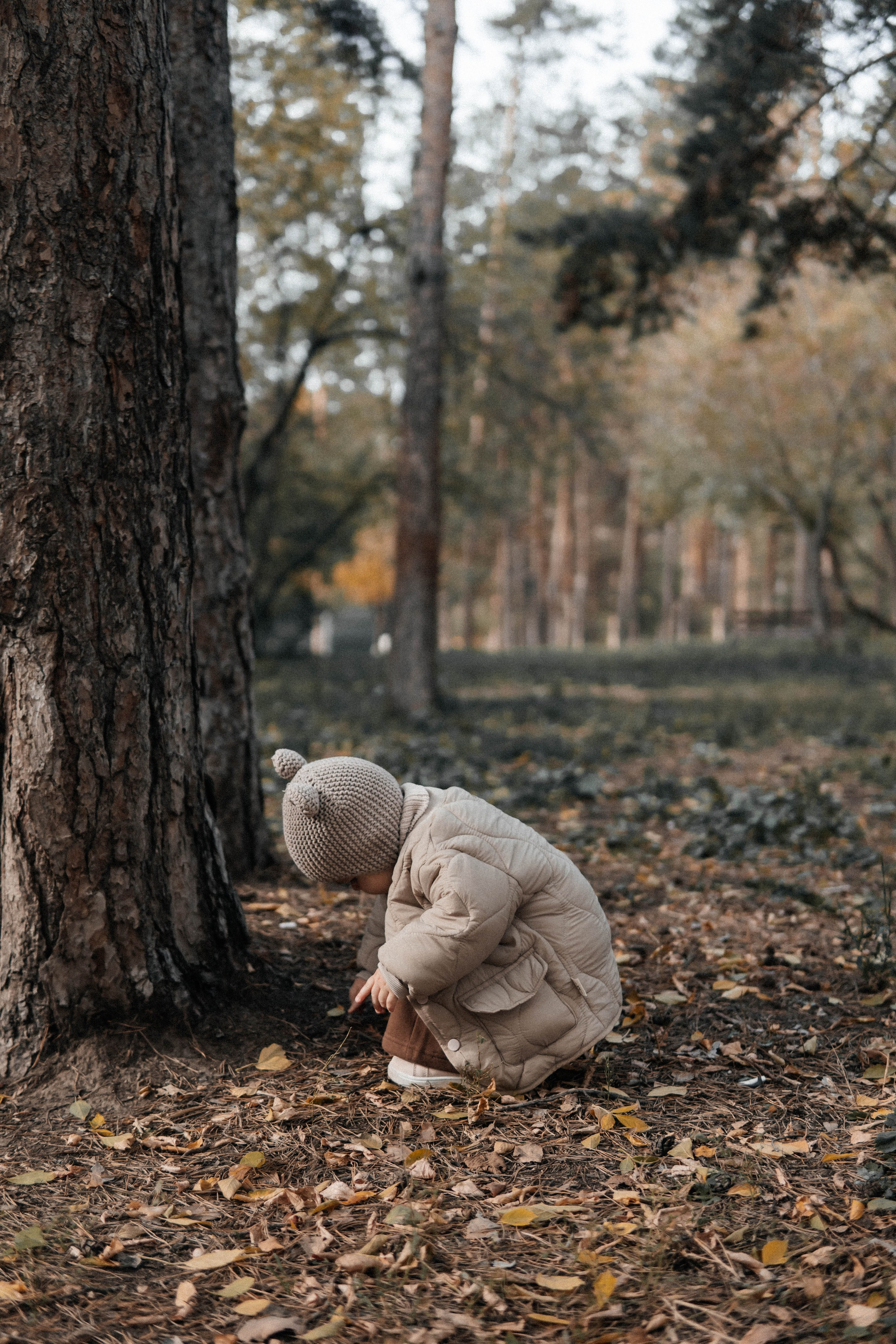 Прогулка осенью в парке. Главная страница