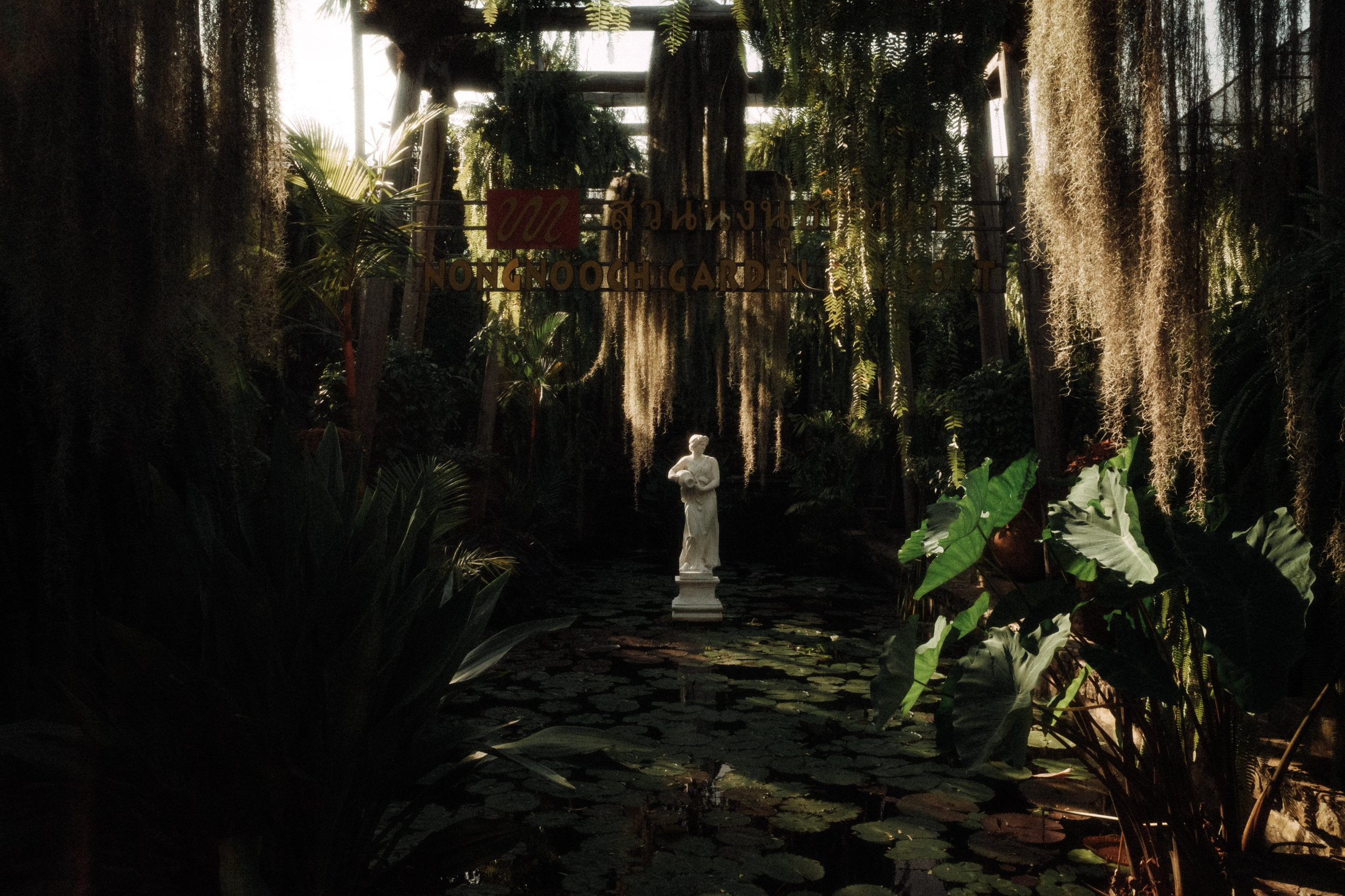 Тайланд плёнка. Свадебный фотограф в Спб Сергей Баланян