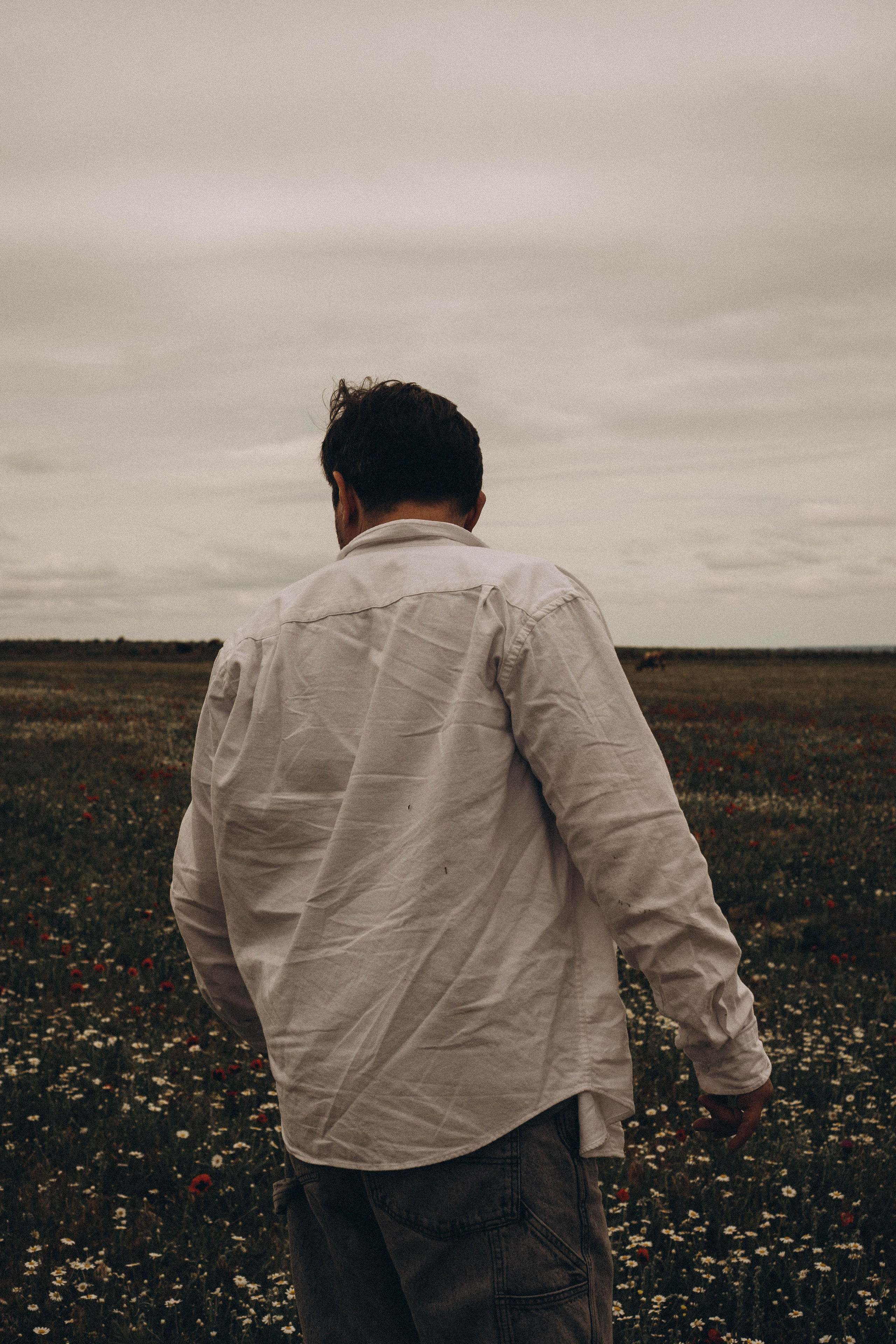 Маки. Профессиональный фотограф, Санкт-Петербург — Виктория Богомолова