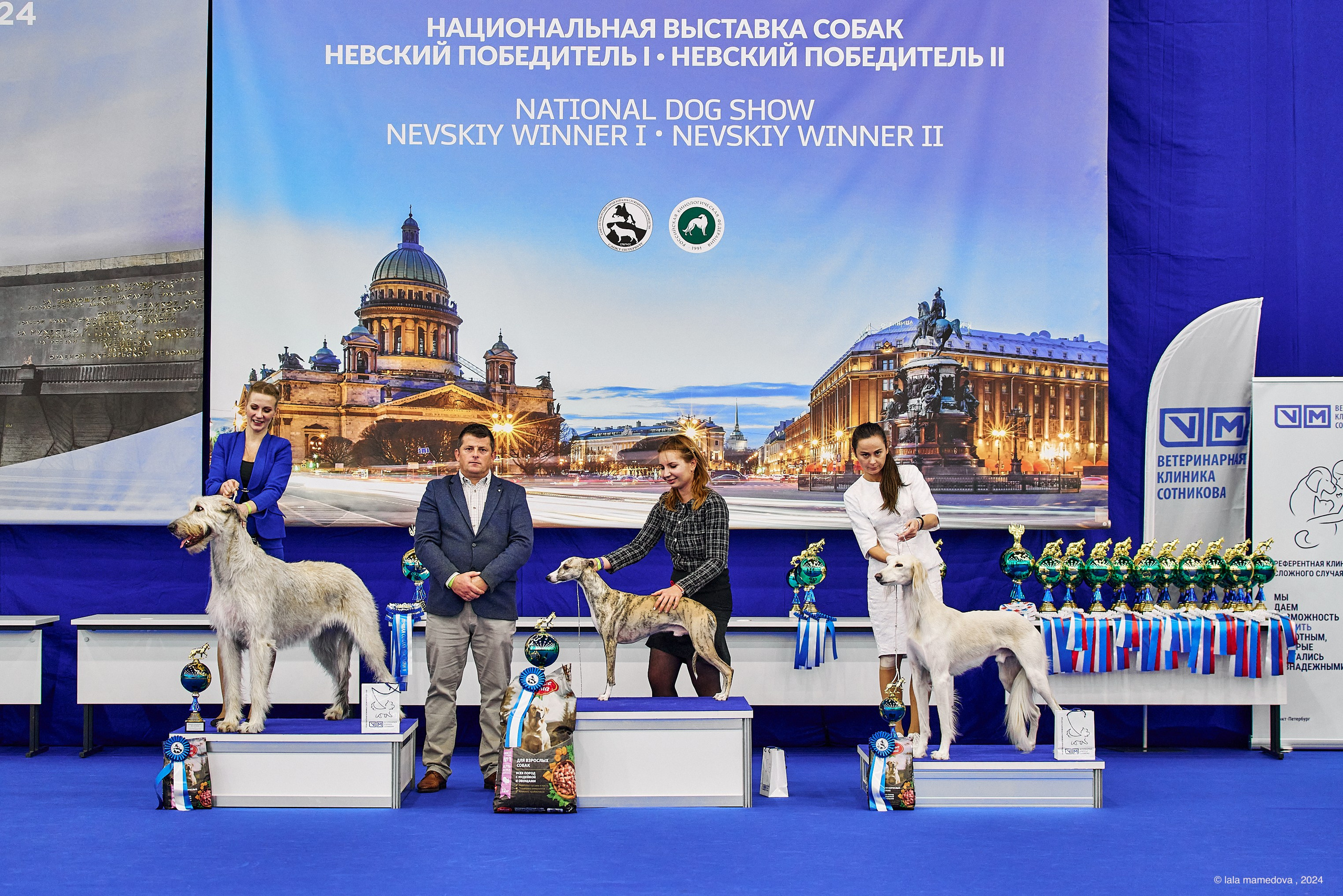 РЕЙТИНГОВАЯ ВЫСТАВКА СОБАК ВСЕХ ПОРОД С ОСОБЫМ СТАТУСОМ"НЕВСКИЙ ПОБЕДИТЕЛЬ-2024-1"