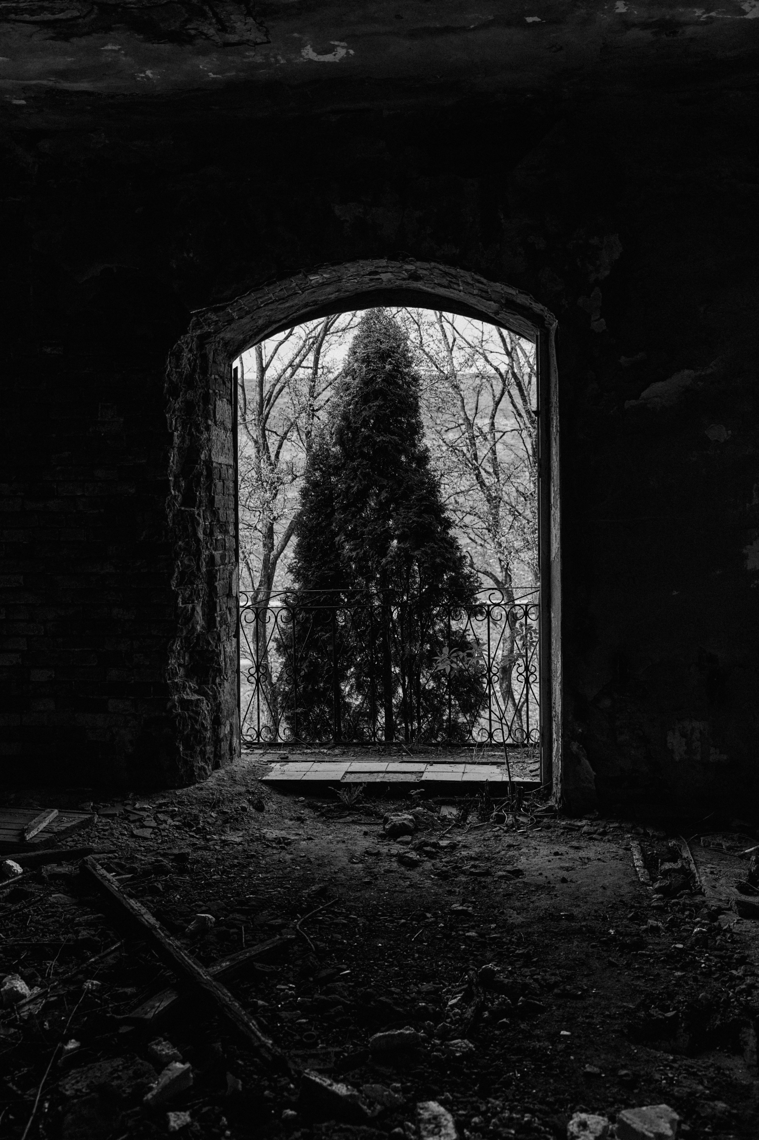 BAON x Кудыкина Гора. Фотограф Сурков Никита