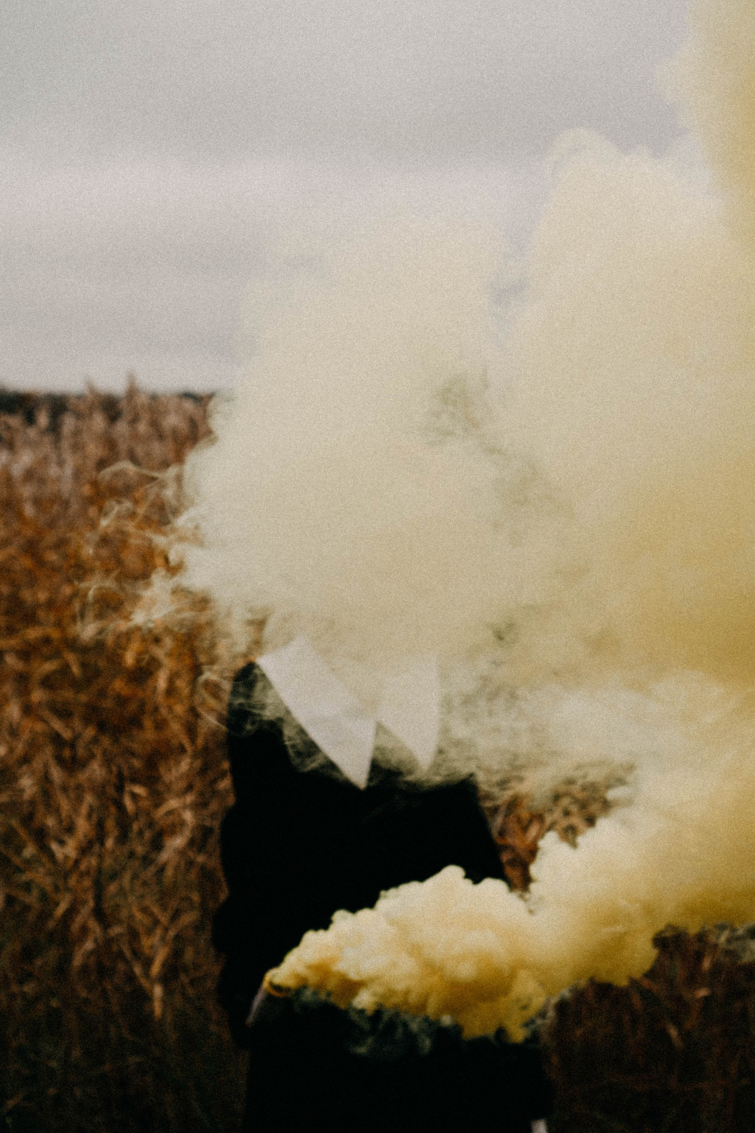 Осеняя. Профессиональный фотограф, Санкт-Петербург — Виктория Богомолова