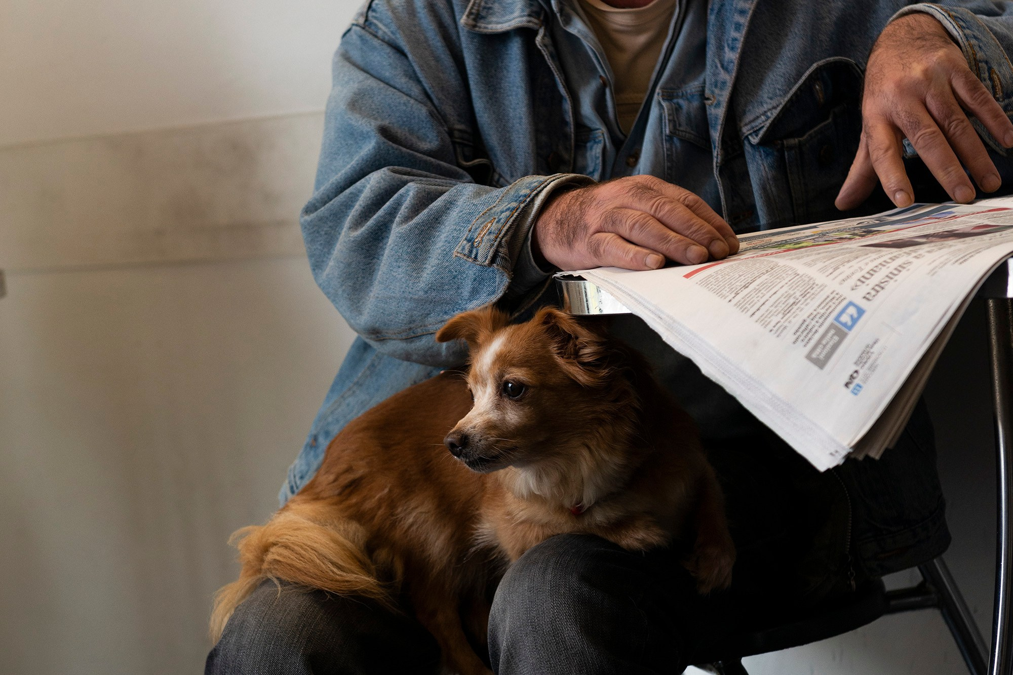 Крупный план человека, читающего газету с собакой на коленях, уличная фотография.