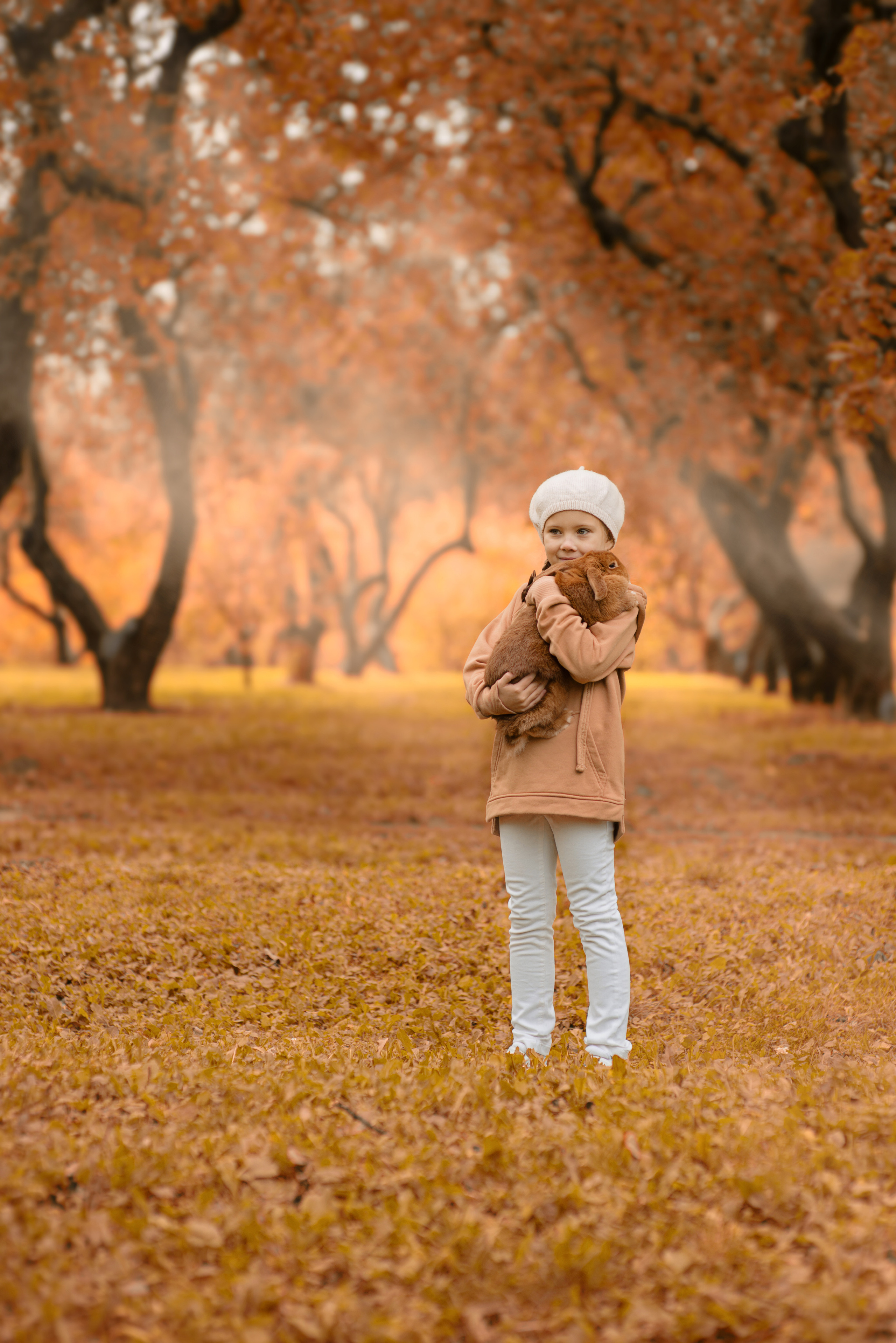 Оранжевая осень. Фотограф Москва — Серпухов — Таруса Ольга Кокеткина