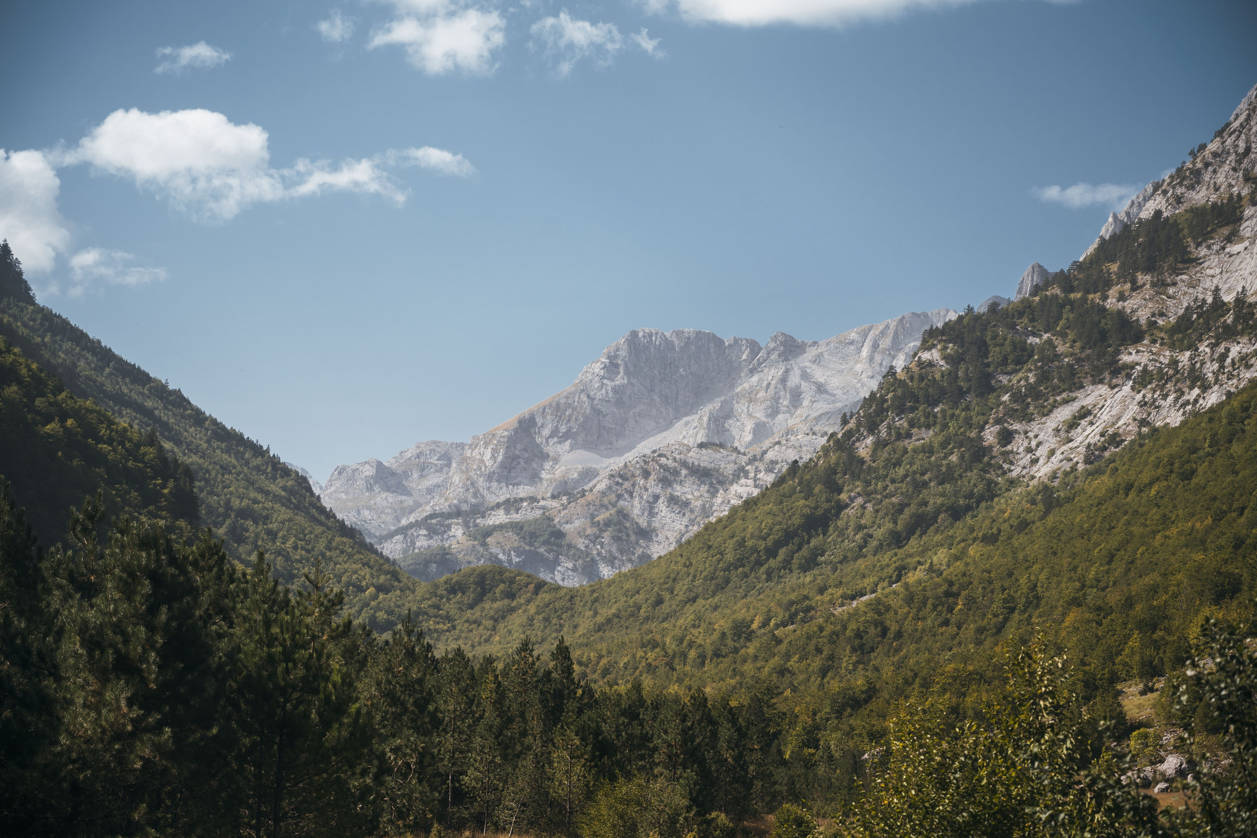 ДОЛИНА РАПОЯНА. ЧЕРНОГОРИЯ. Фотограф в Белграде Чугреева Елена