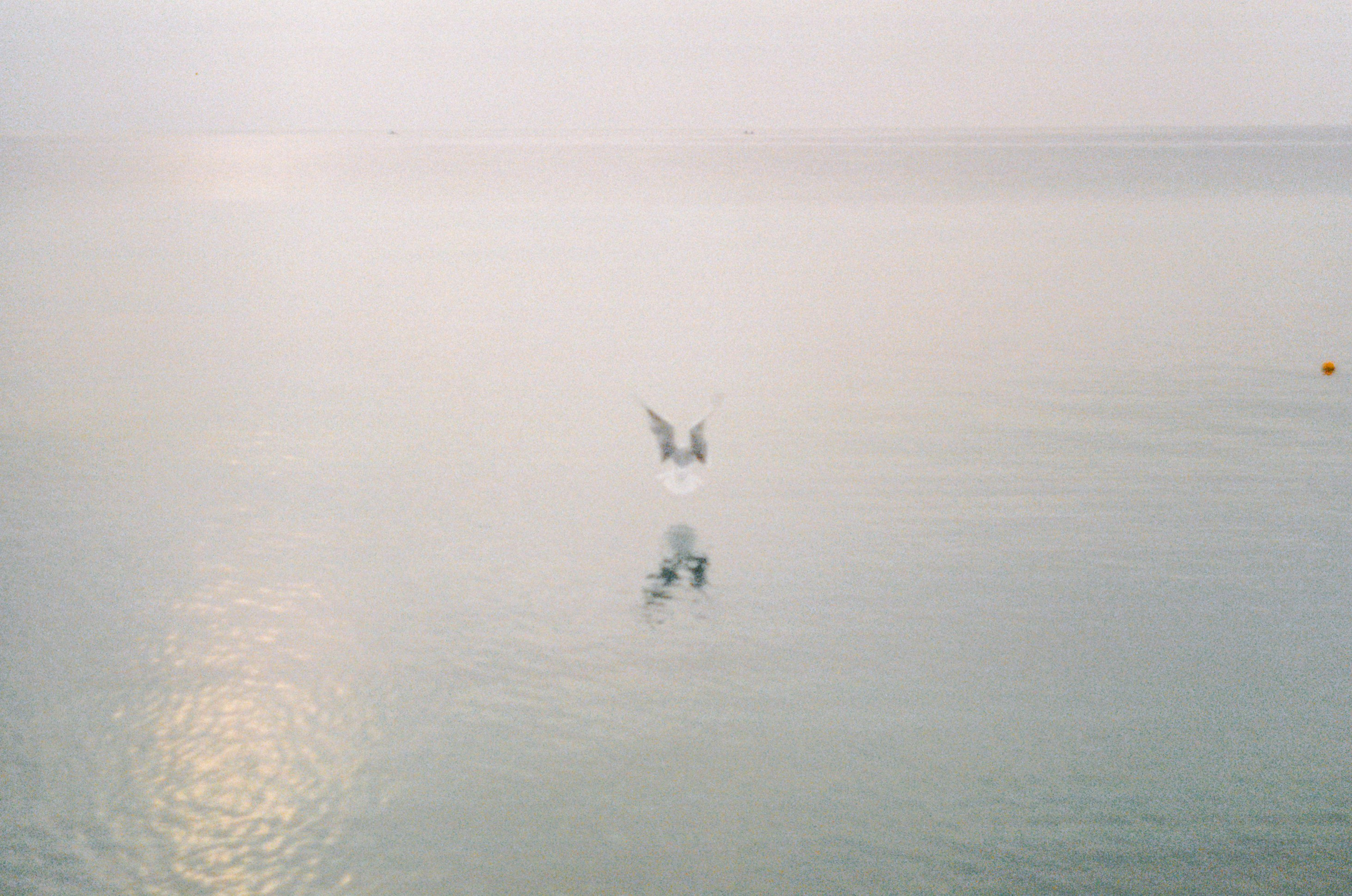 Anna Esquilin Art Photographer