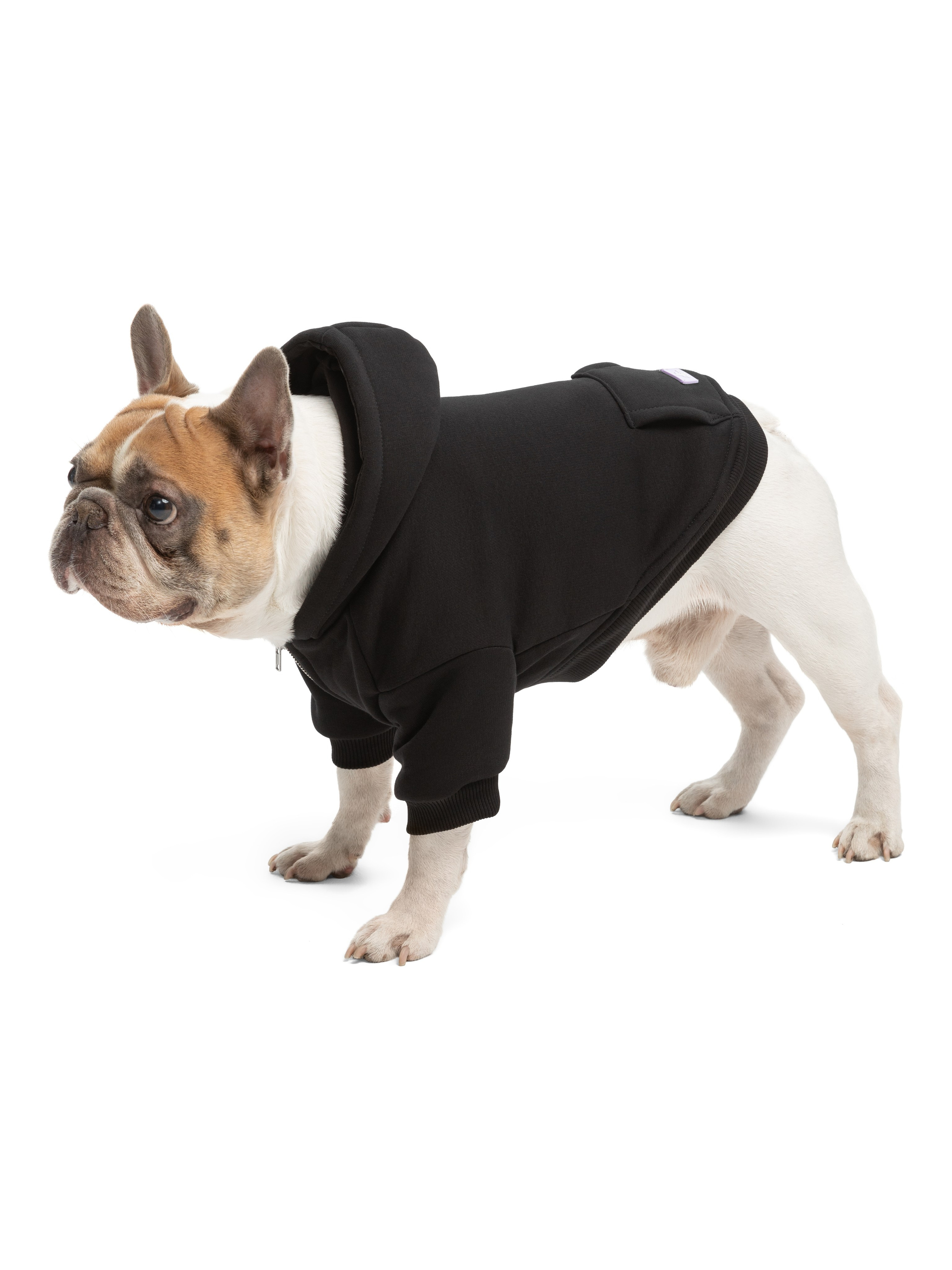 Одежда для собак Pet Subject. Олег Дмитриев