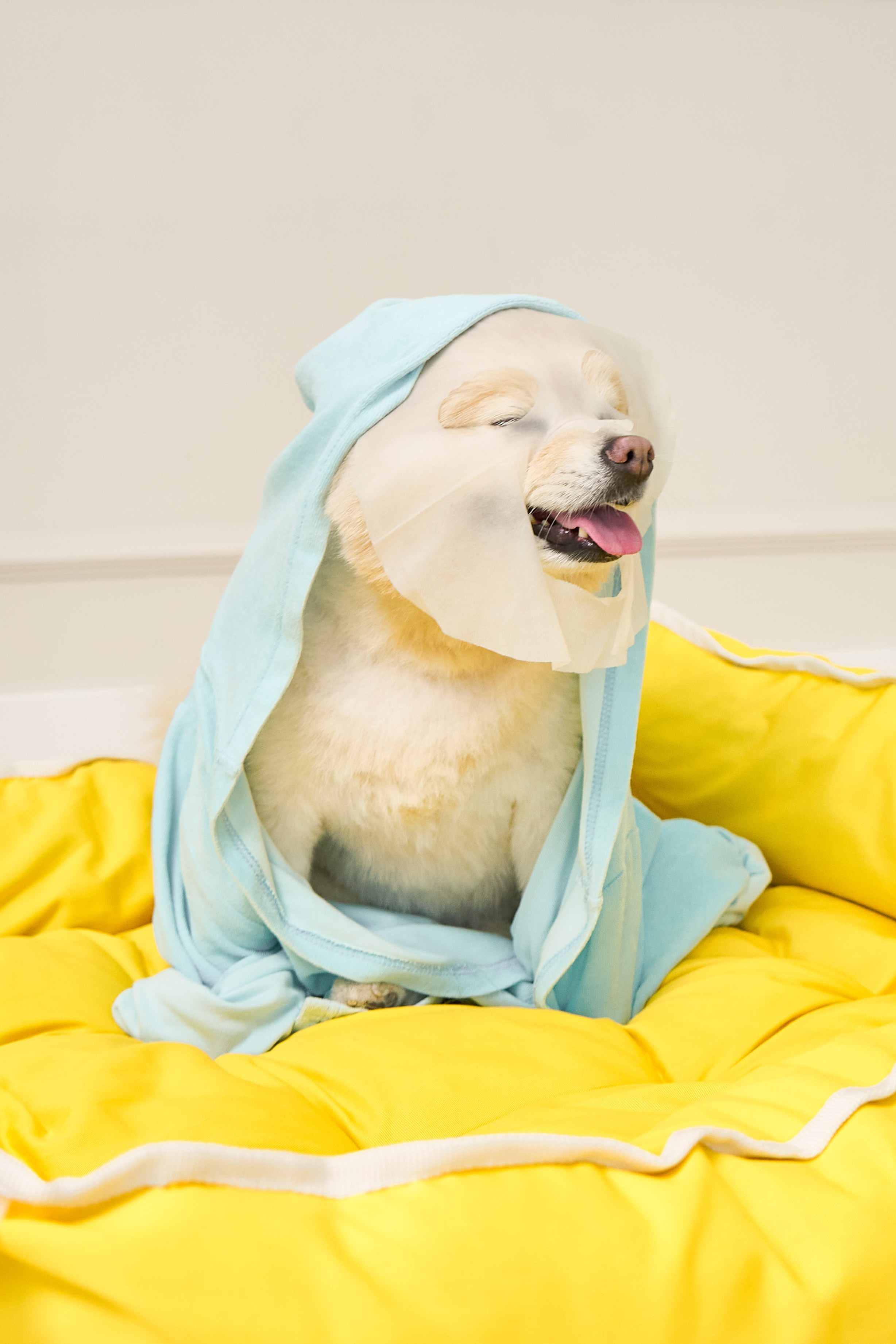 Вещь добра. Фотограф для брендов и маркетплейсов Екатеринбург Екатерина Дроздова