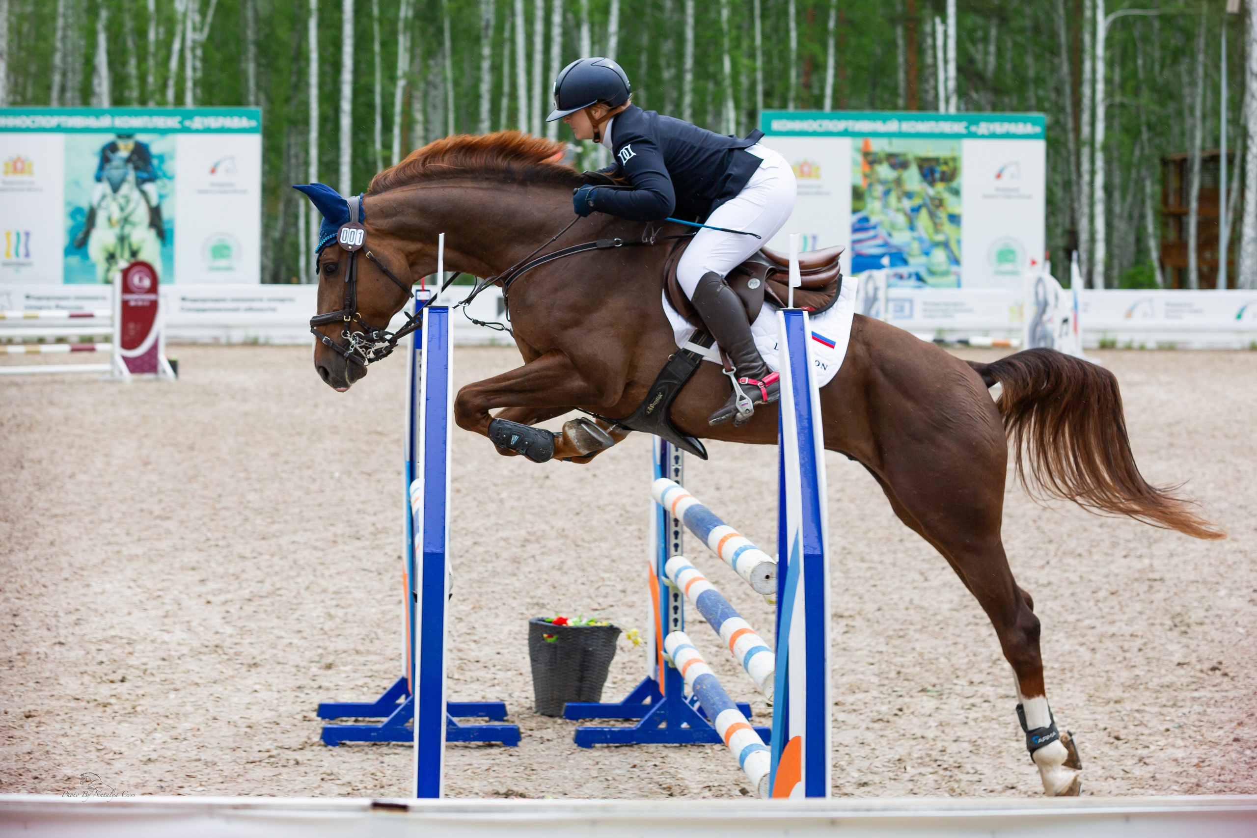 турнирный конный фотограф Екатеринбург, фото с соревнований КСК Дубрава, конный фотограф Екатеринбург, конкур, соревнования по конному спорту, Фотограф анималист Екатеринбург
