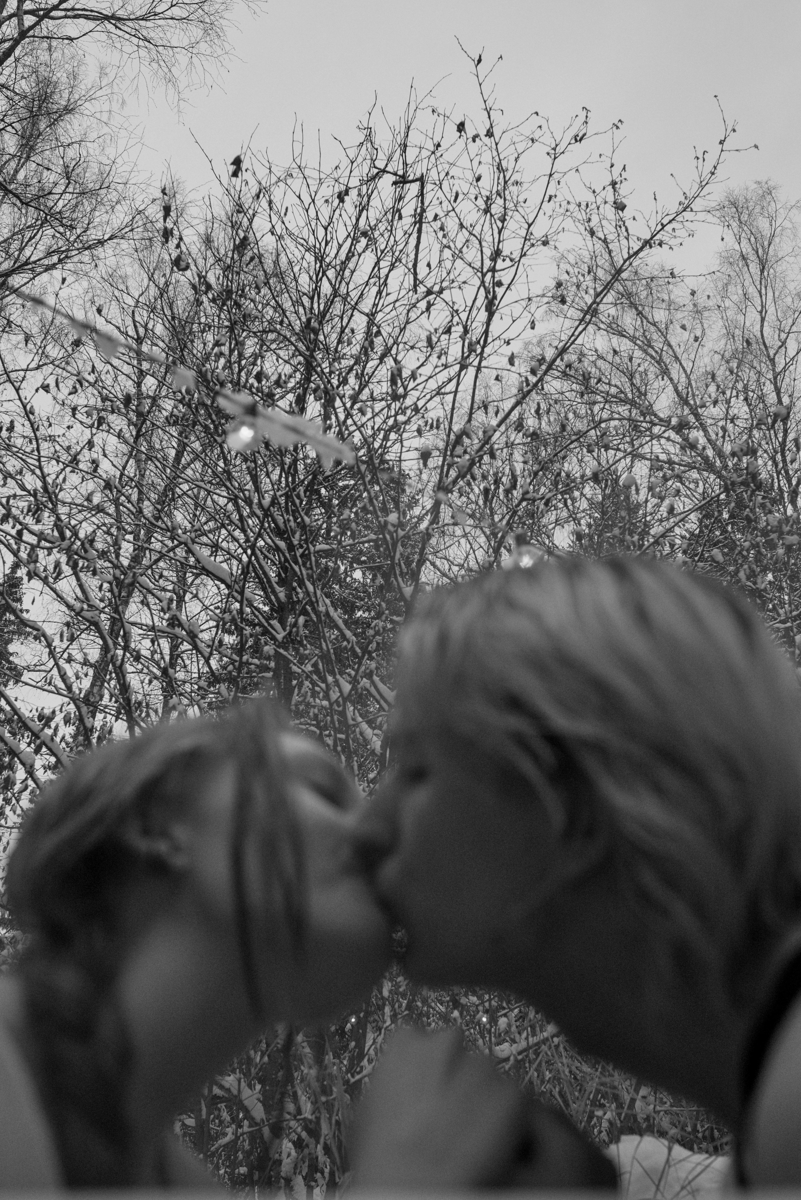 Love story. Фотограф г. Санкт-Петербург