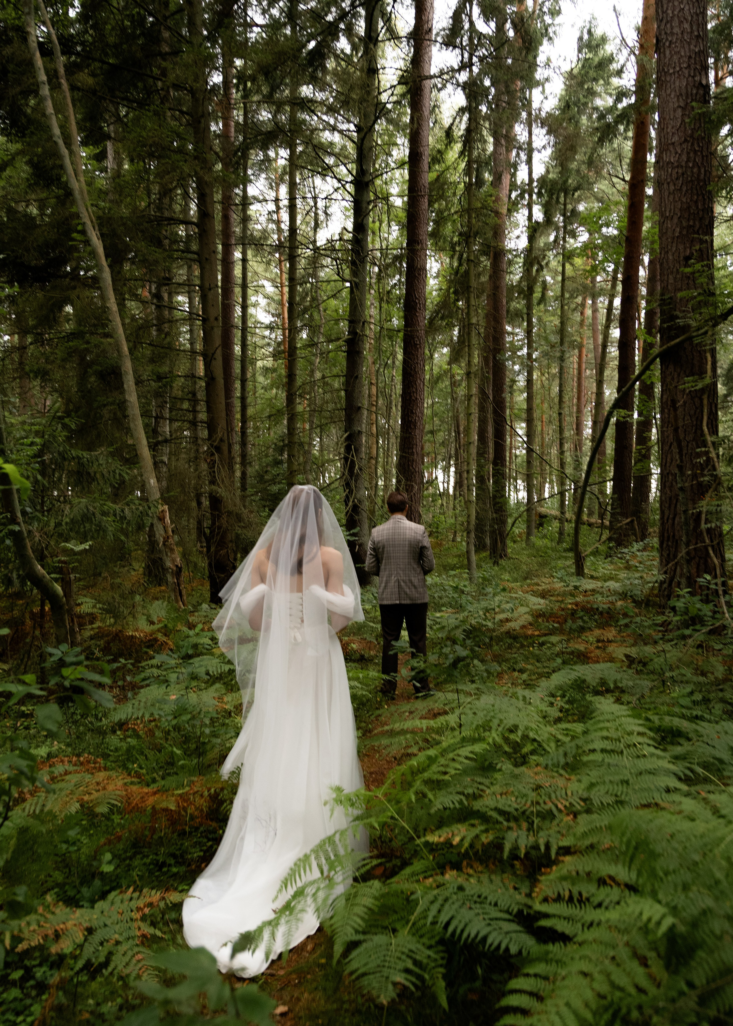 Денис & Дарья | в лесу. Фотограф в Калининграде Сокирко Светлана