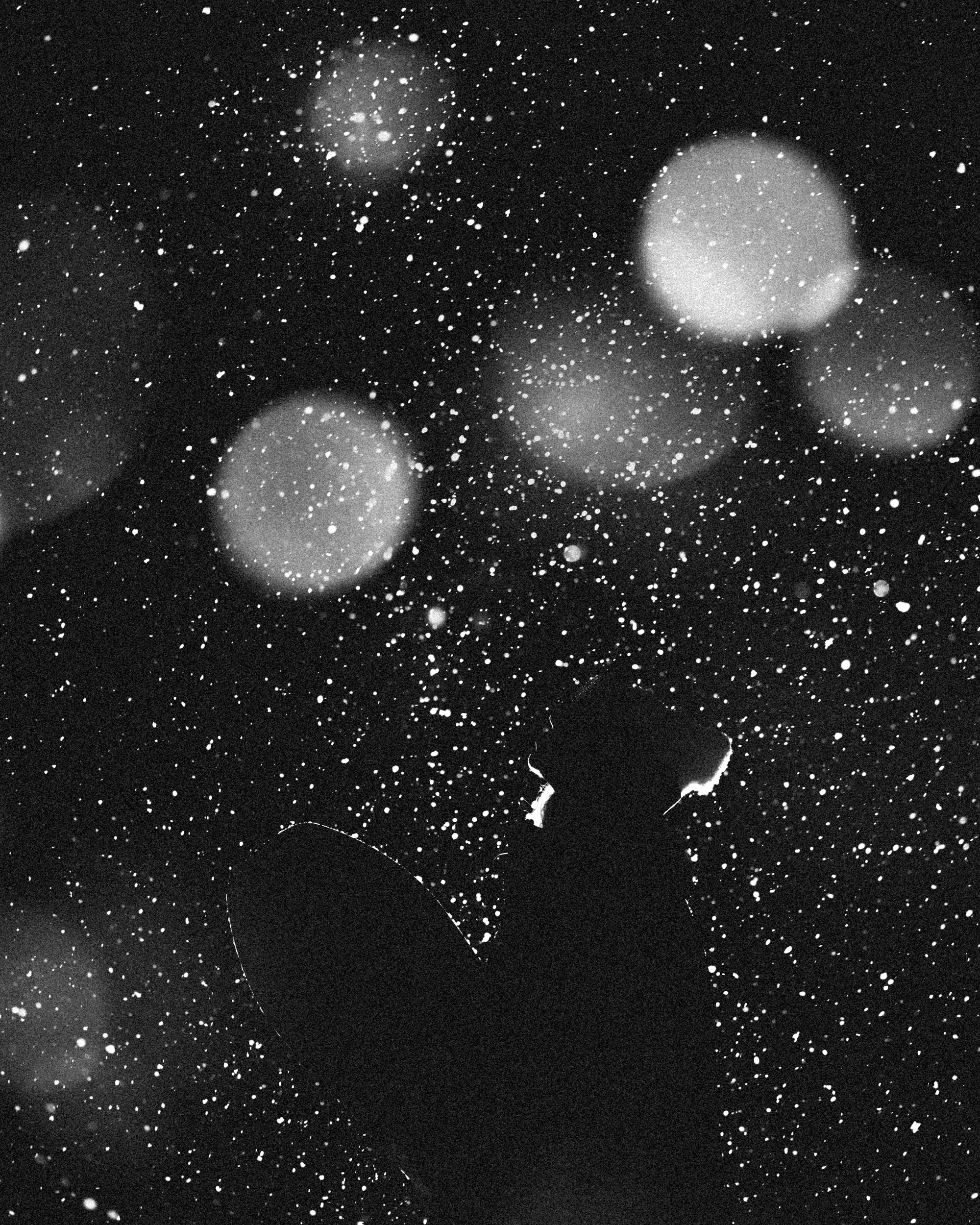 Alexey Shabanov photography